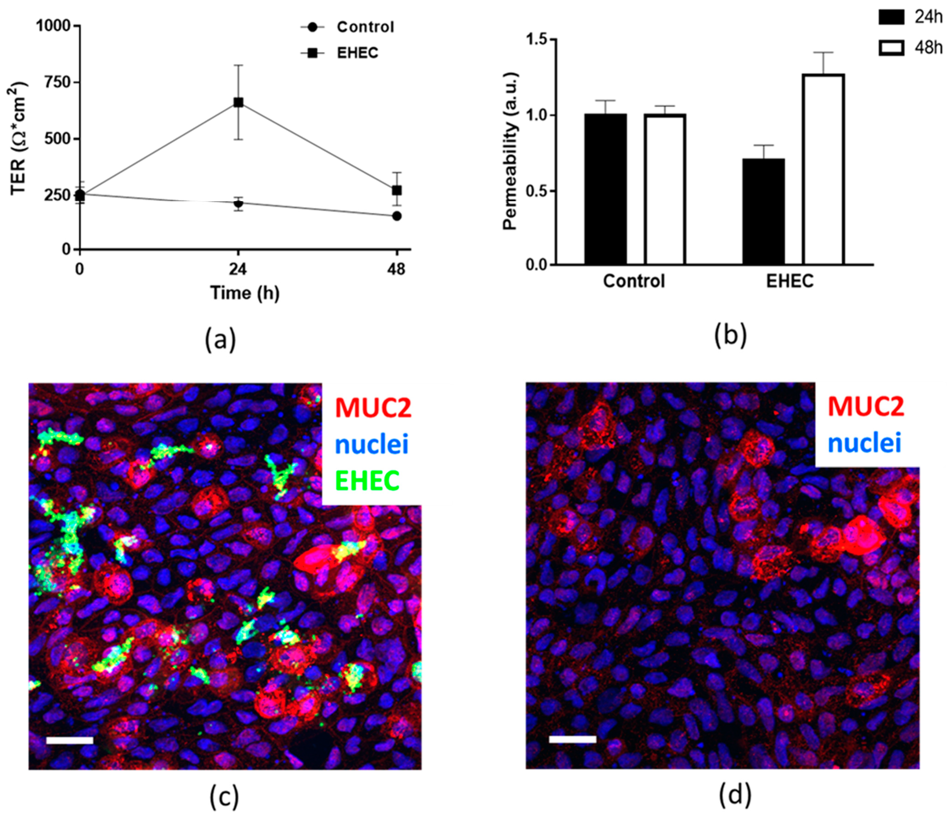 Metabolites 11 00841 g008