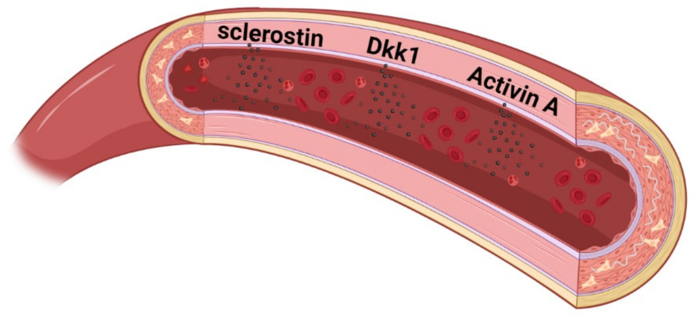 Metabolites 11 00849 g003 Metabolites 11 00849 g003