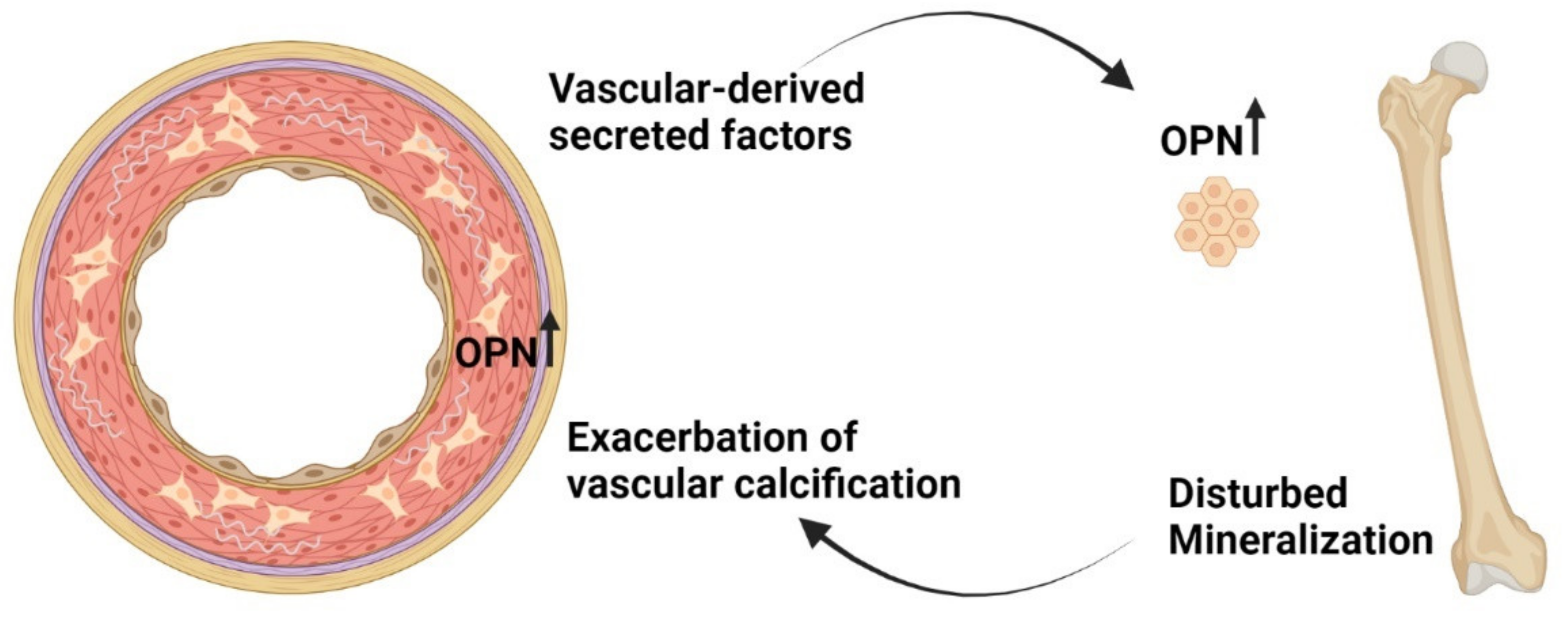 Metabolites 11 00849 g004 Metabolites 11 00849 g004