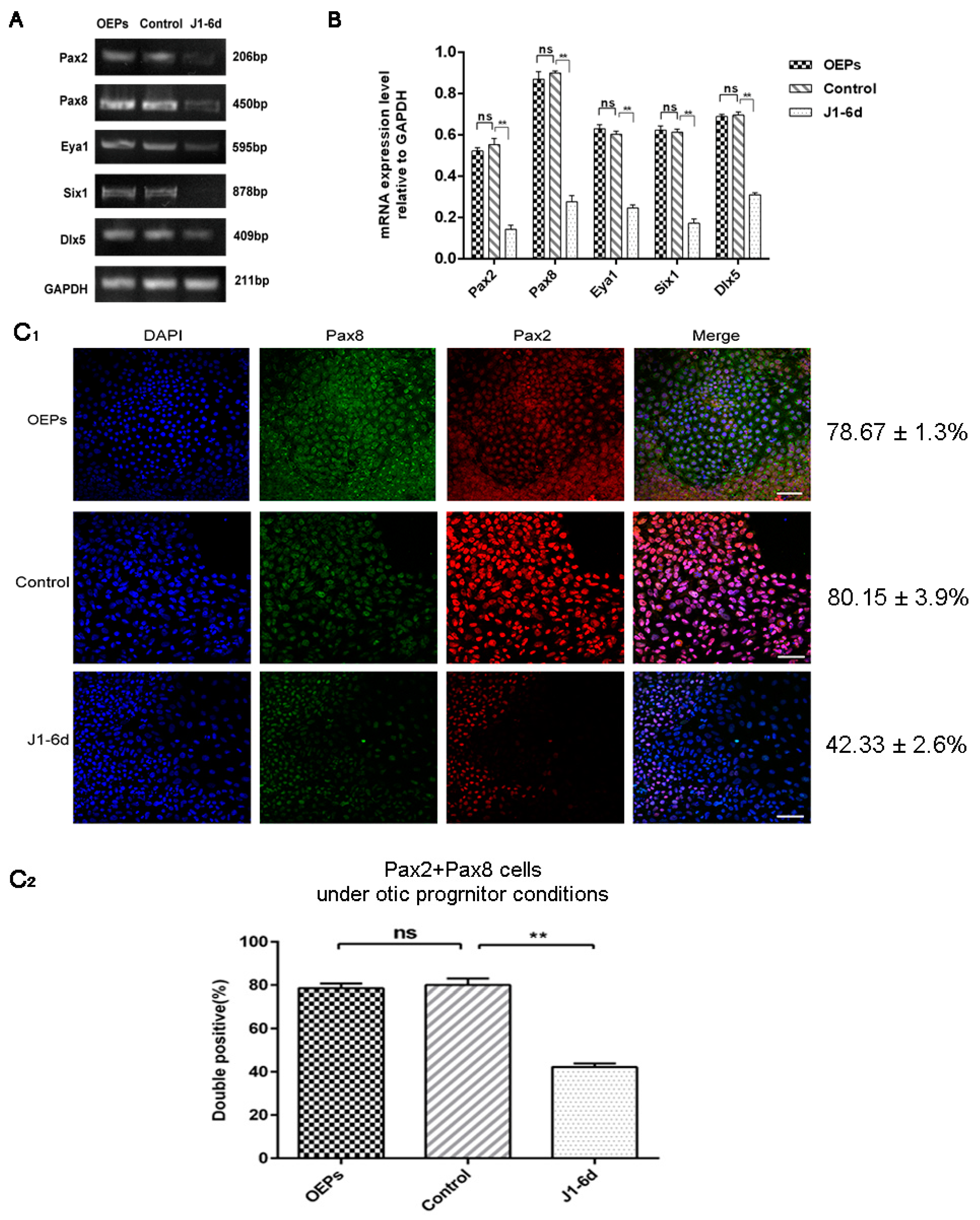 Metabolites 11 00873 g002 Metabolites 11 00873 g002
