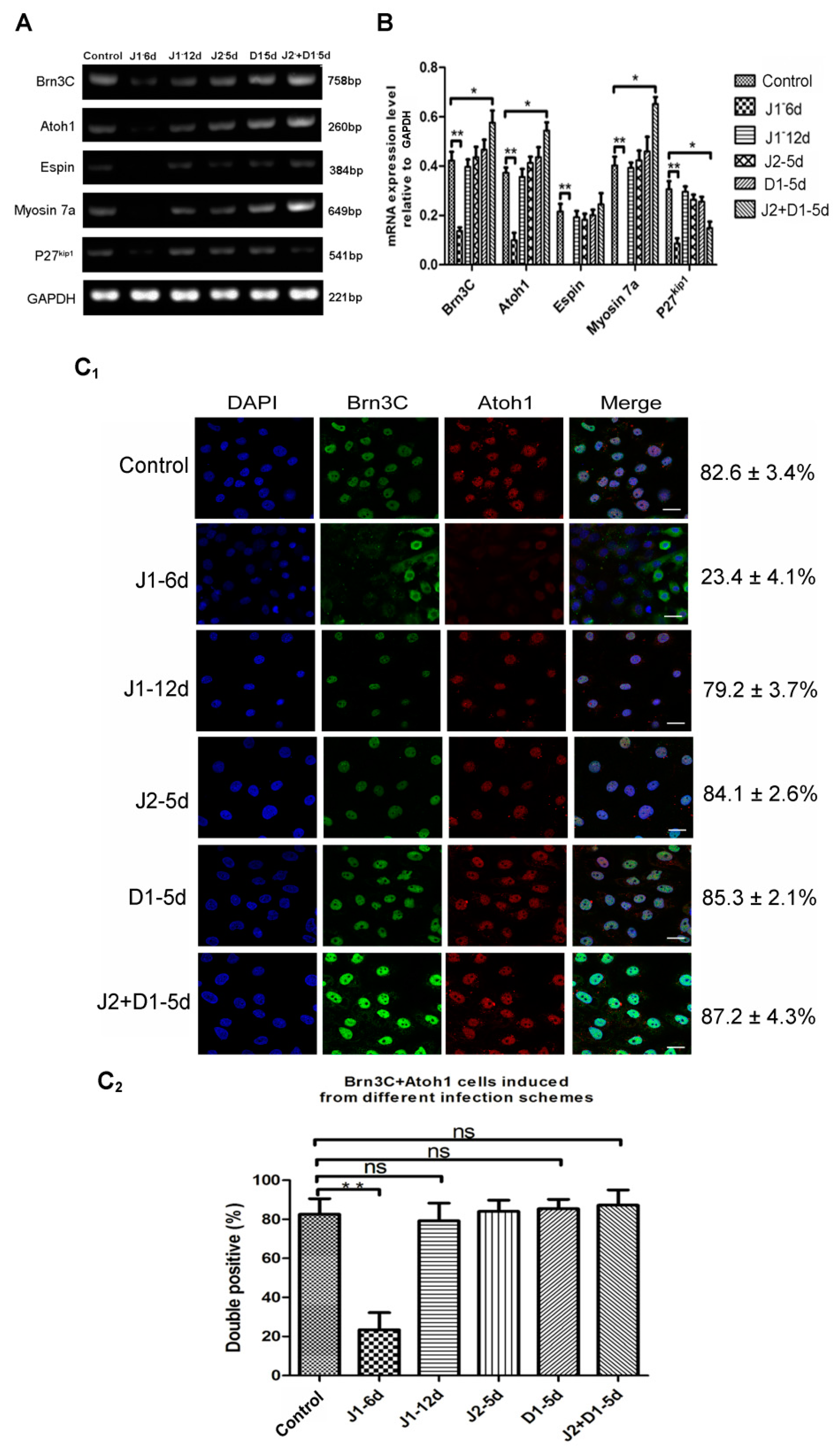 Metabolites 11 00873 g003a Metabolites 11 00873 g003a