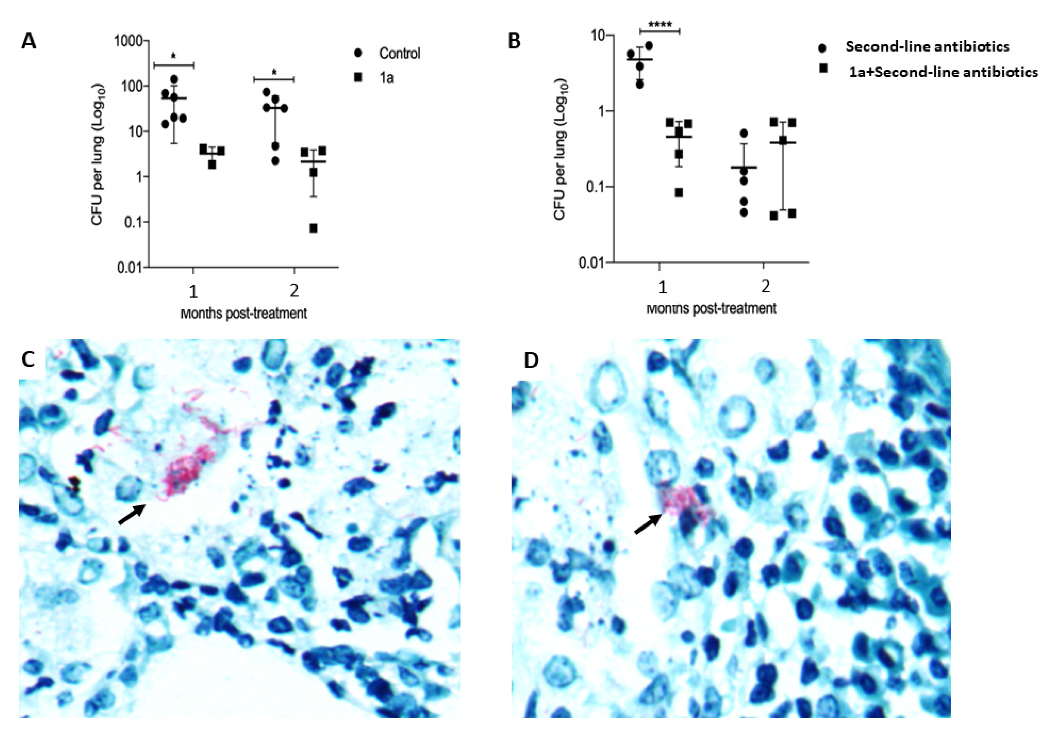 Metabolites 11 00876 g002 Metabolites 11 00876 g002
