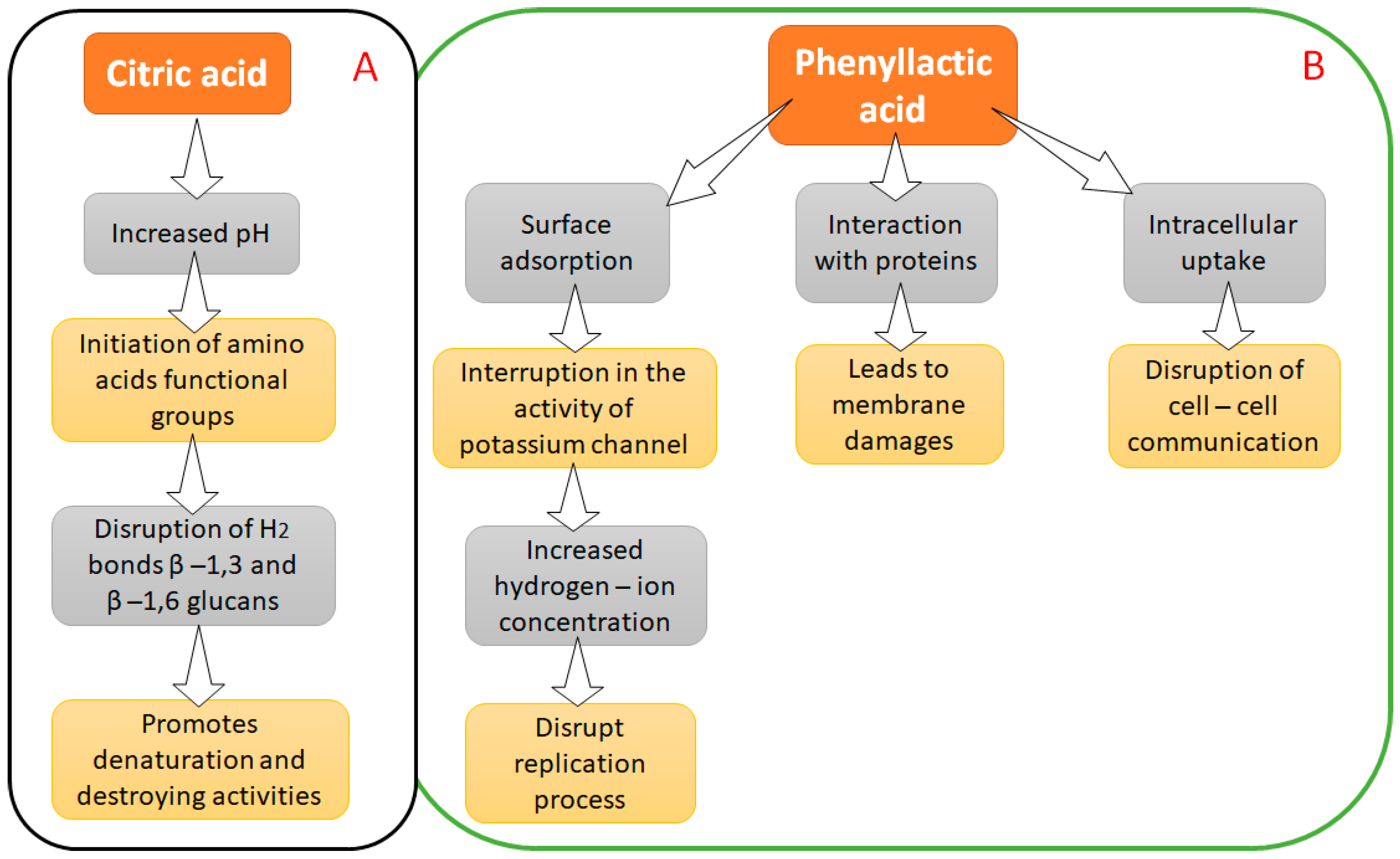 Metabolites 12 00012 g002