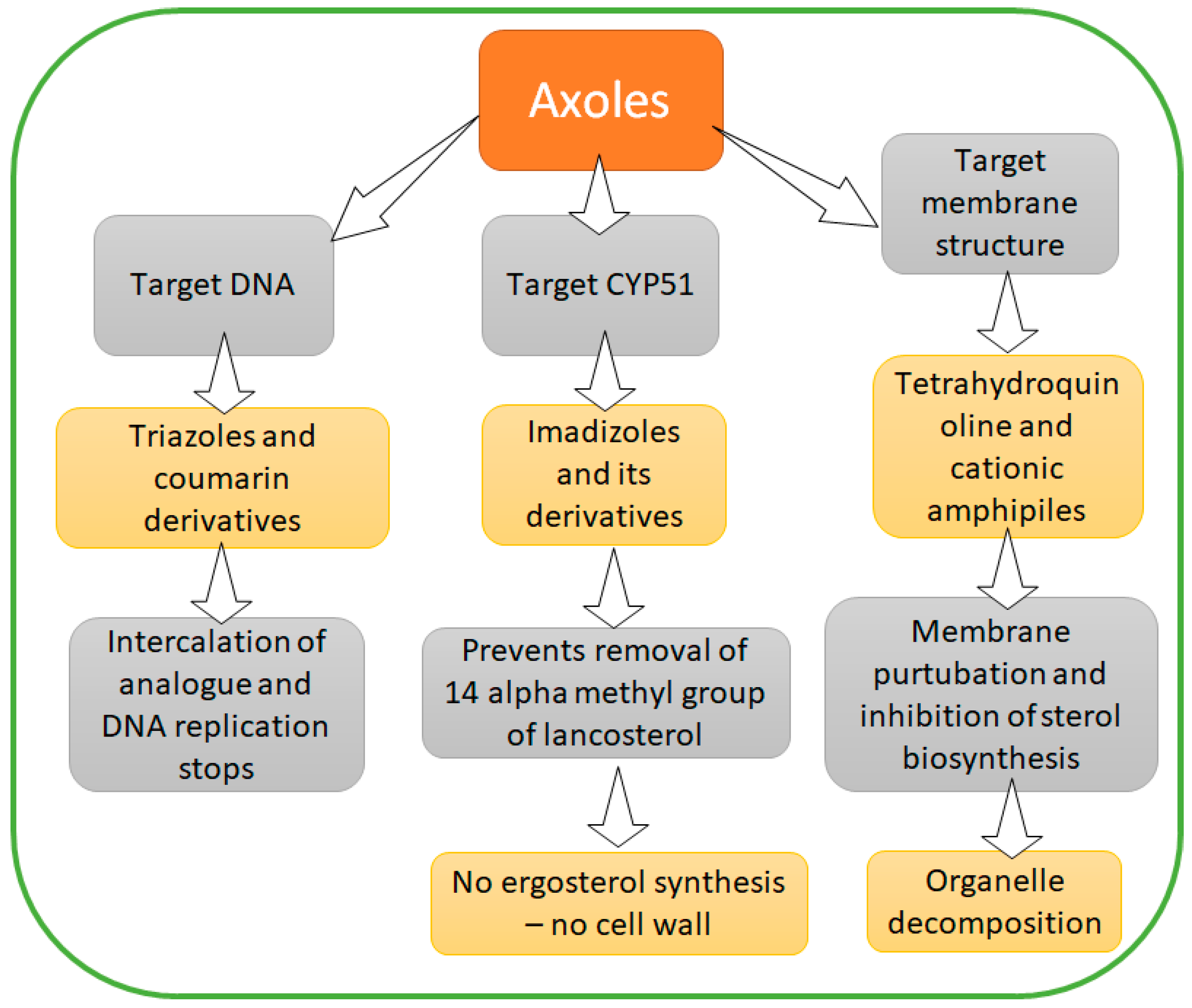 Metabolites 12 00012 g005