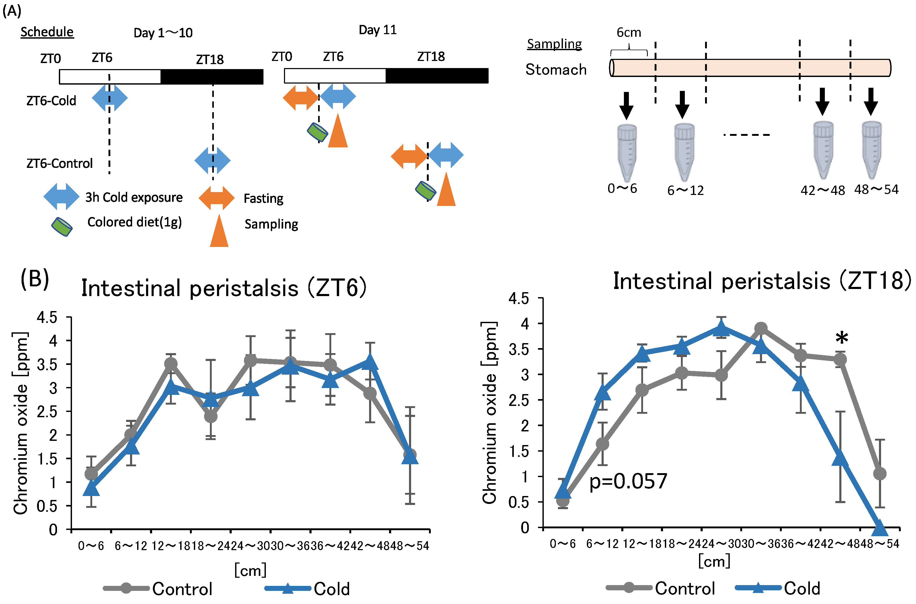 Metabolites 12 00020 g005