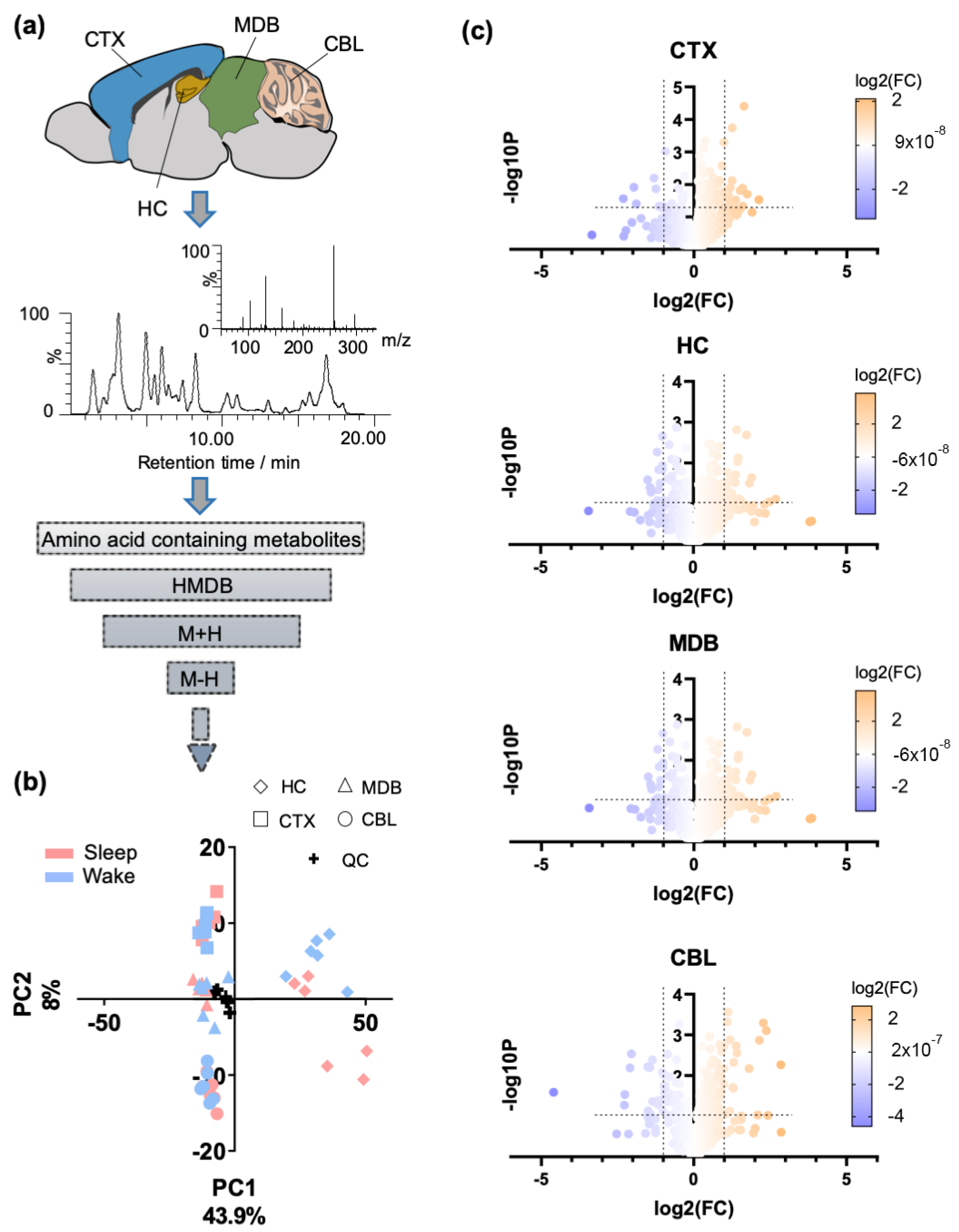 Metabolites 12 00021 g001
