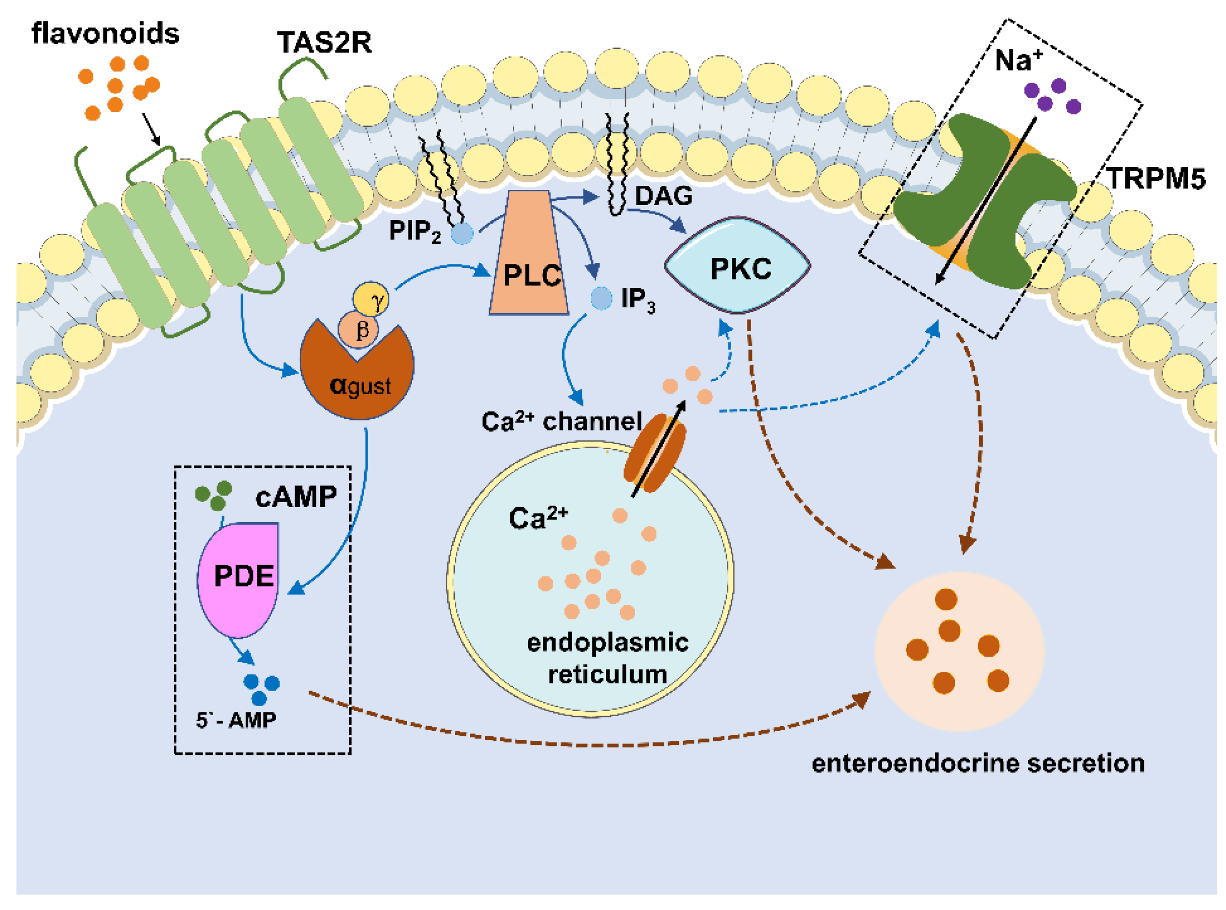 Metabolites 12 00031 g002