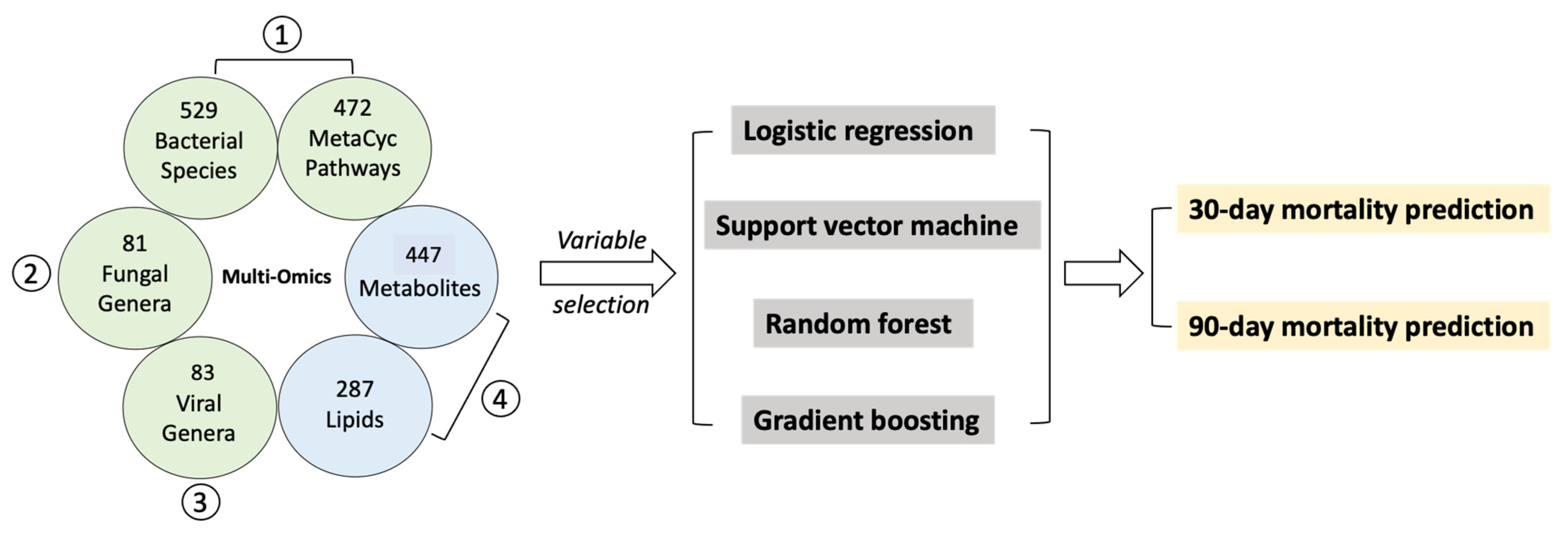 Metabolites 12 00041 g002