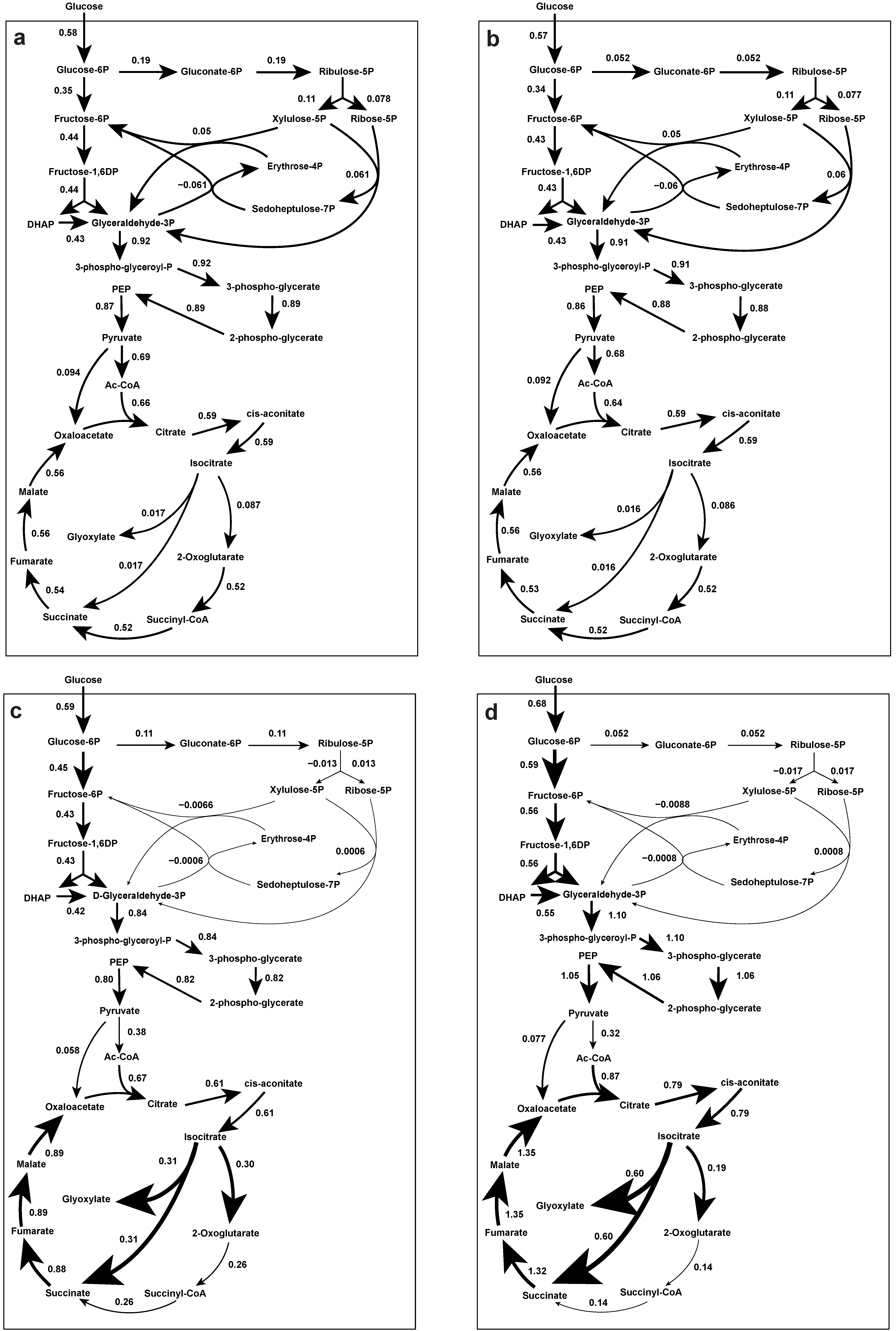 Metabolites 12 00045 g009
