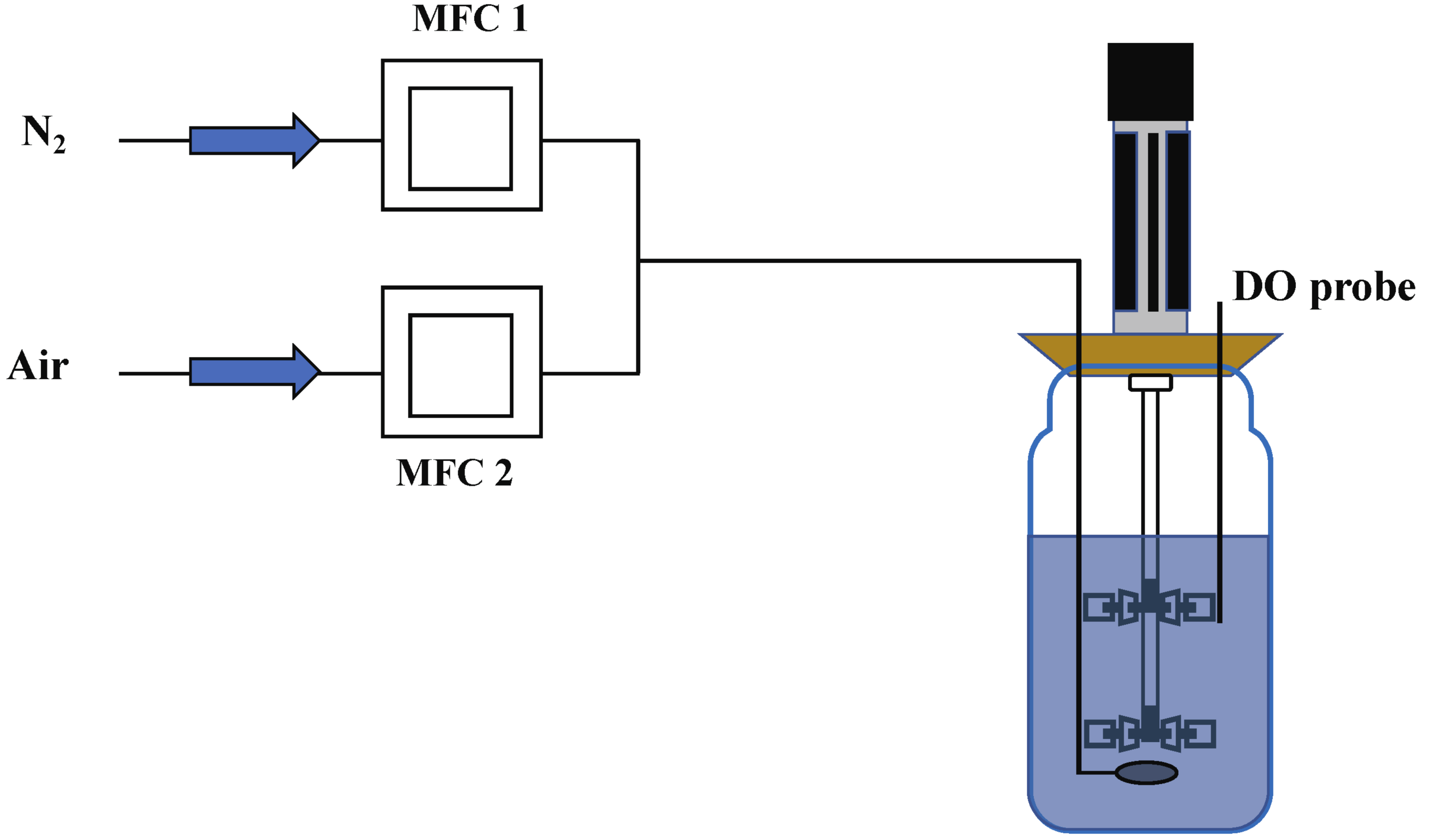 Metabolites 12 00045 g018
