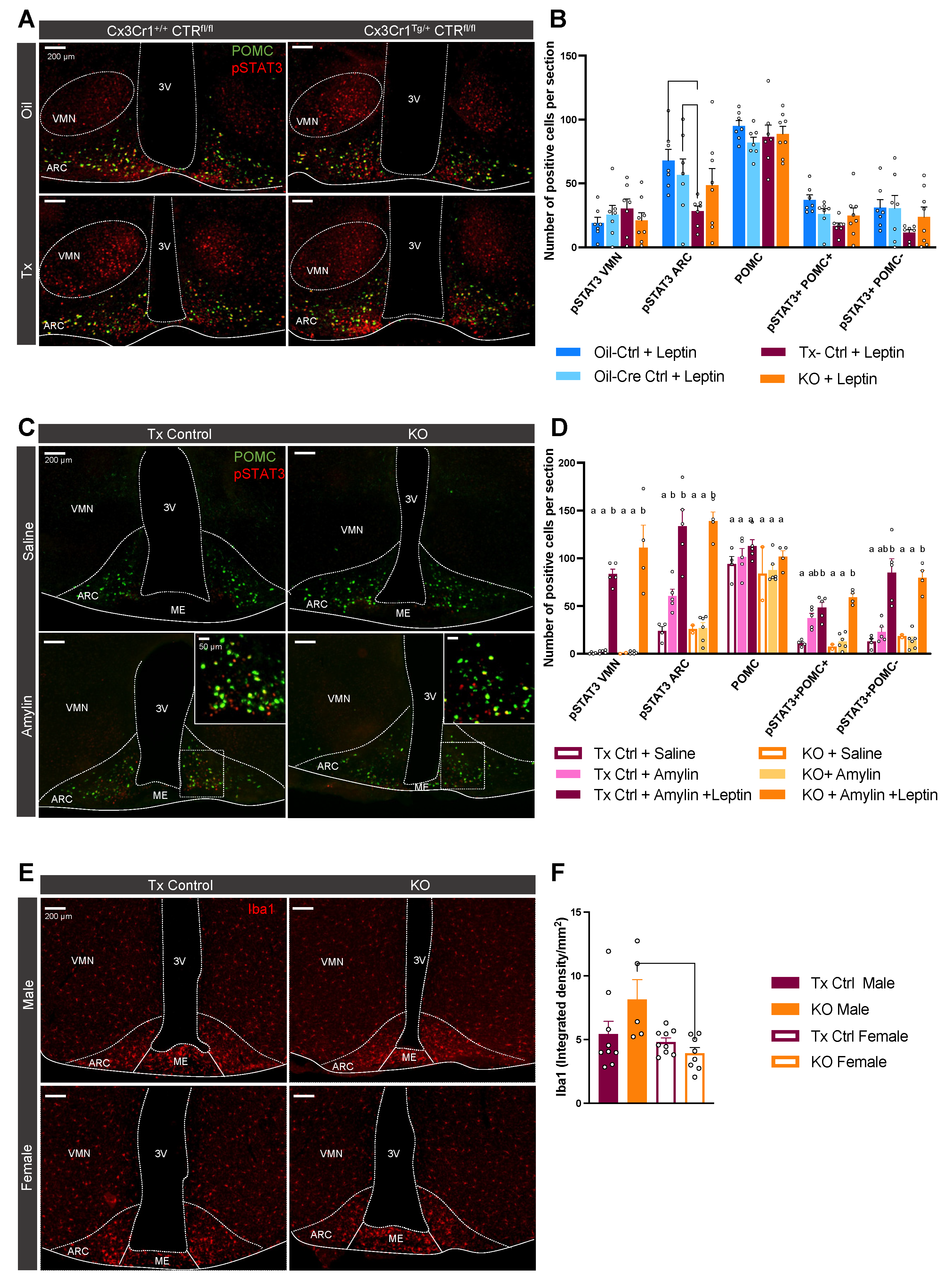 Metabolites 12 00051 g007