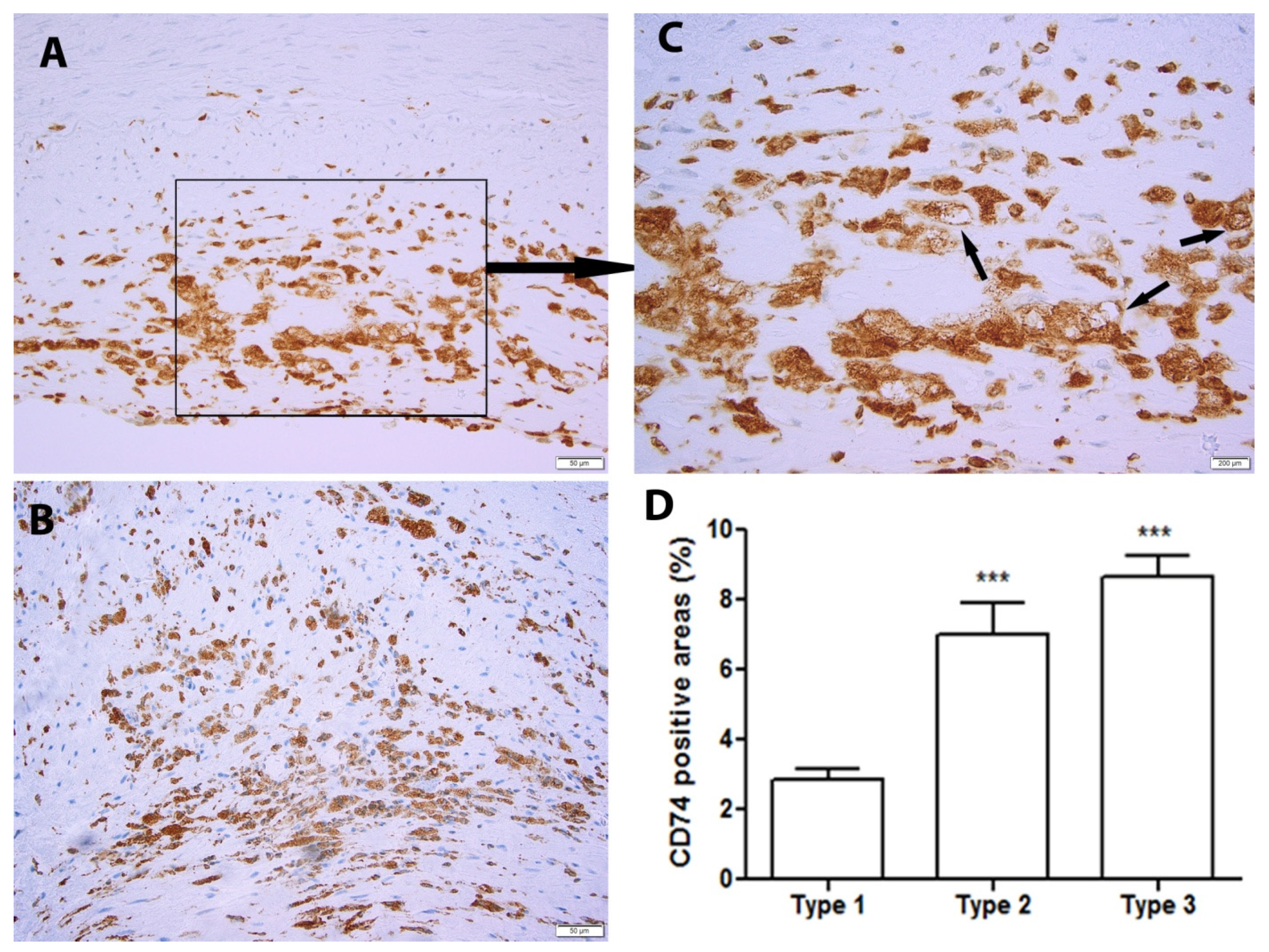 Metabolites 12 00054 g001 Metabolites 12 00054 g001