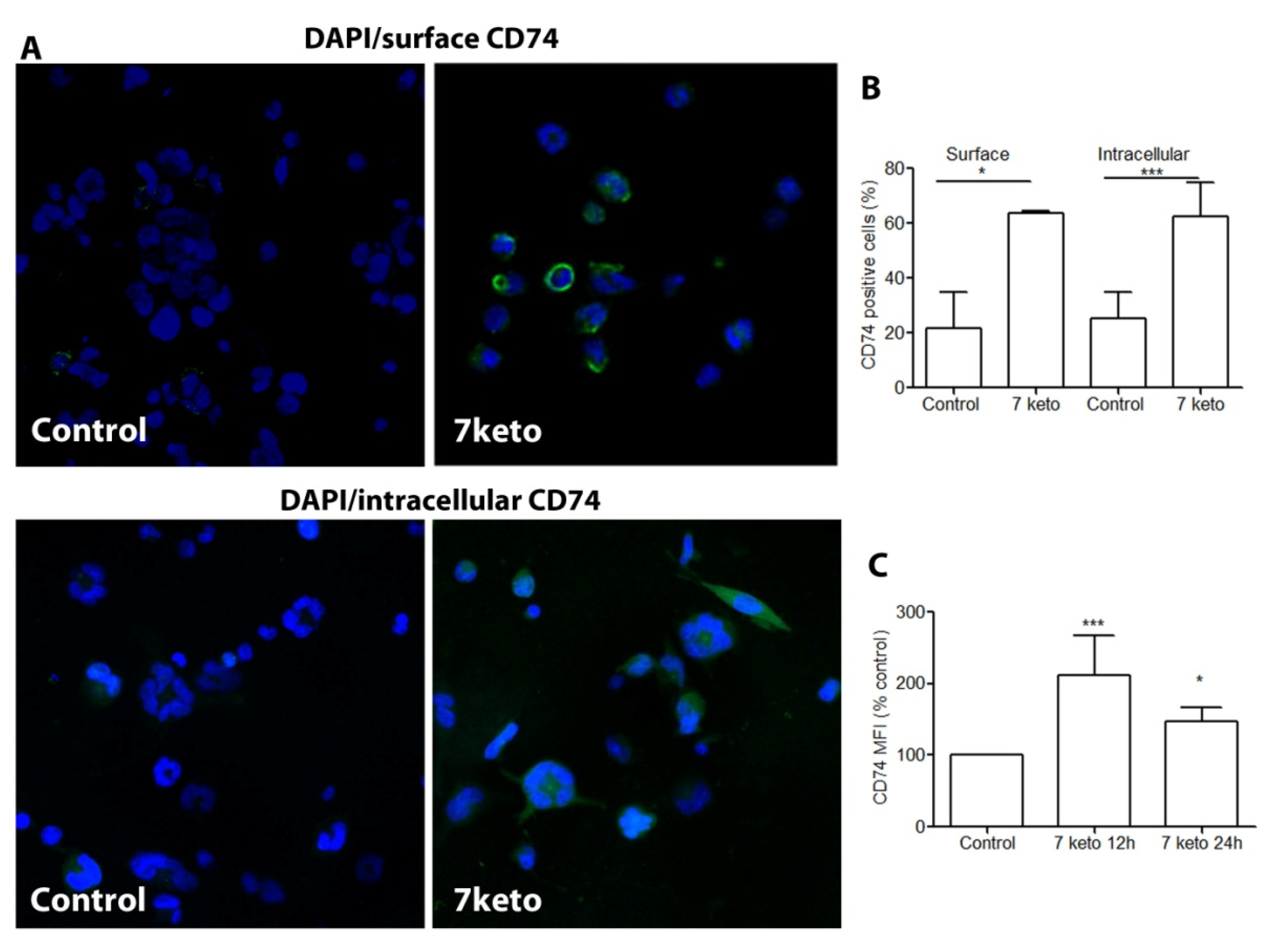 Metabolites 12 00054 g005 Metabolites 12 00054 g005
