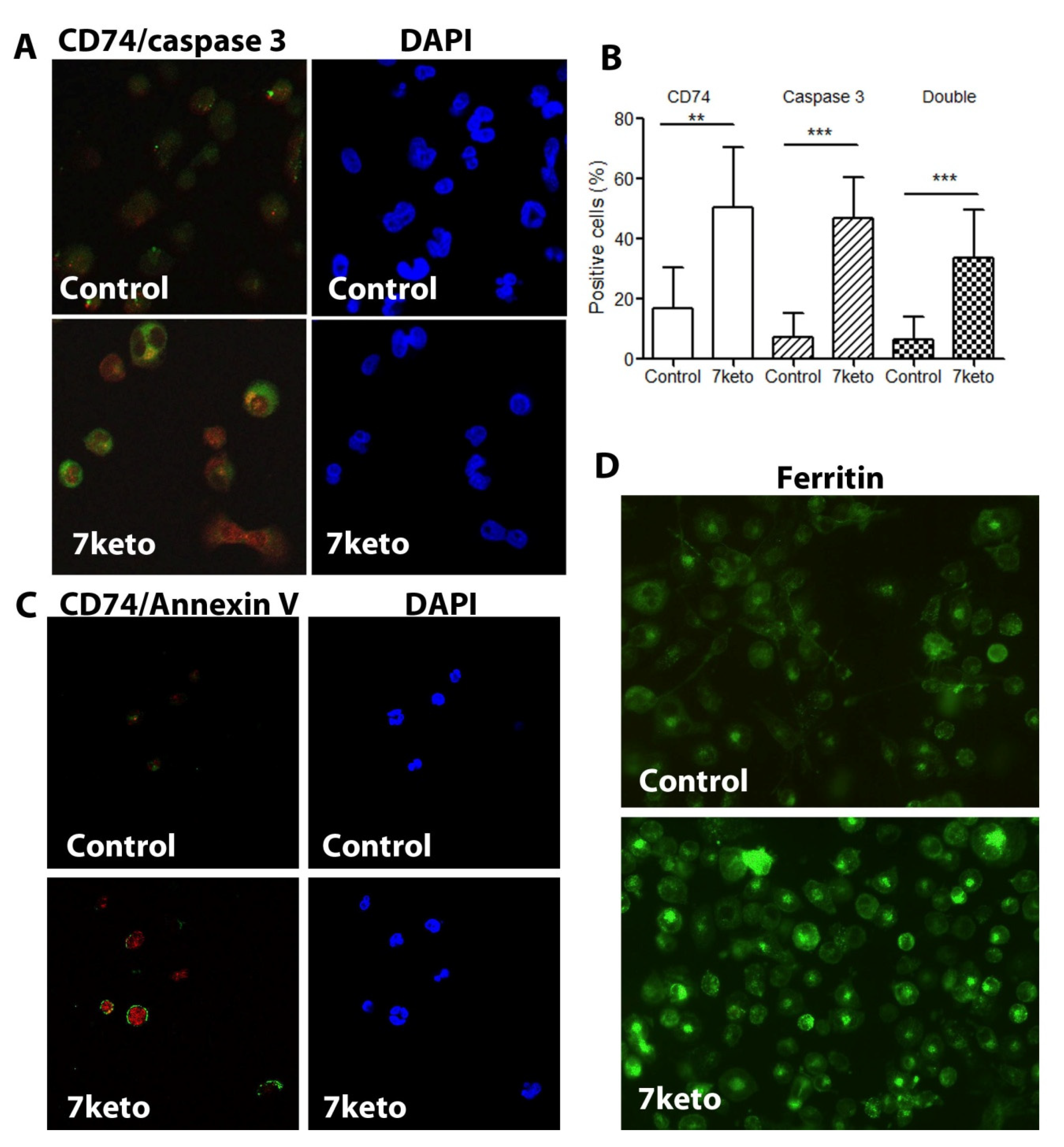 Metabolites 12 00054 g006 Metabolites 12 00054 g006