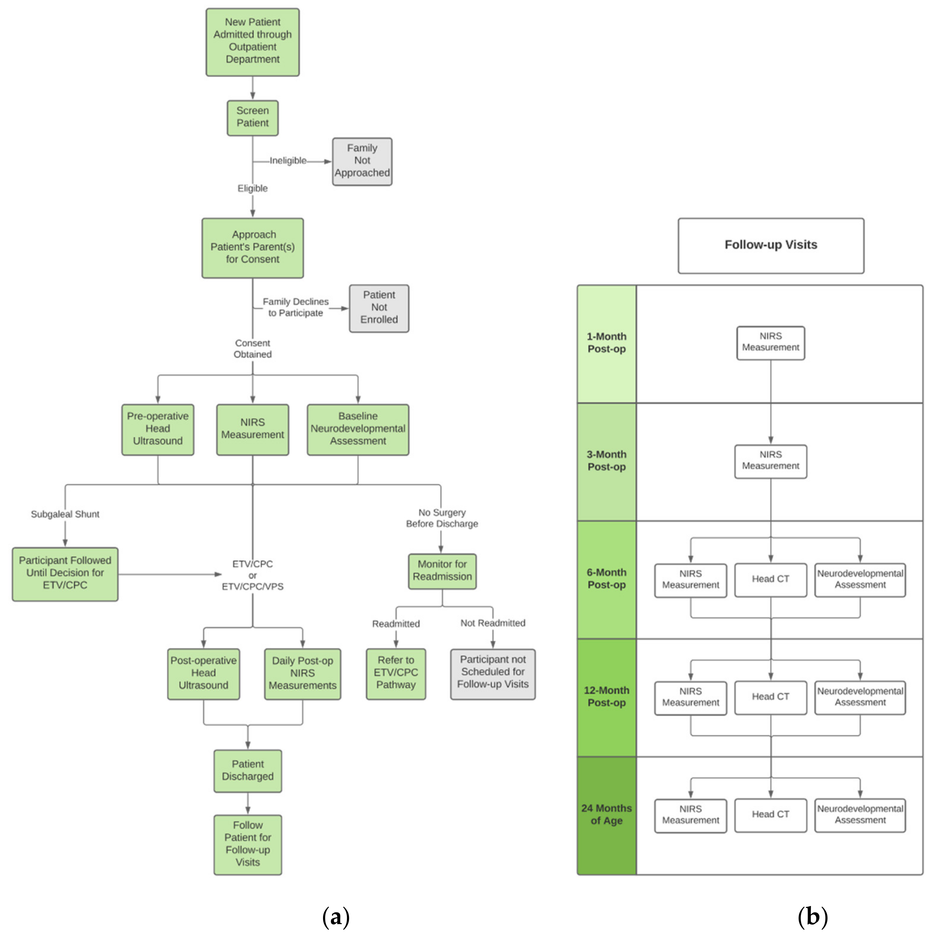 Metabolites 12 00078 g001