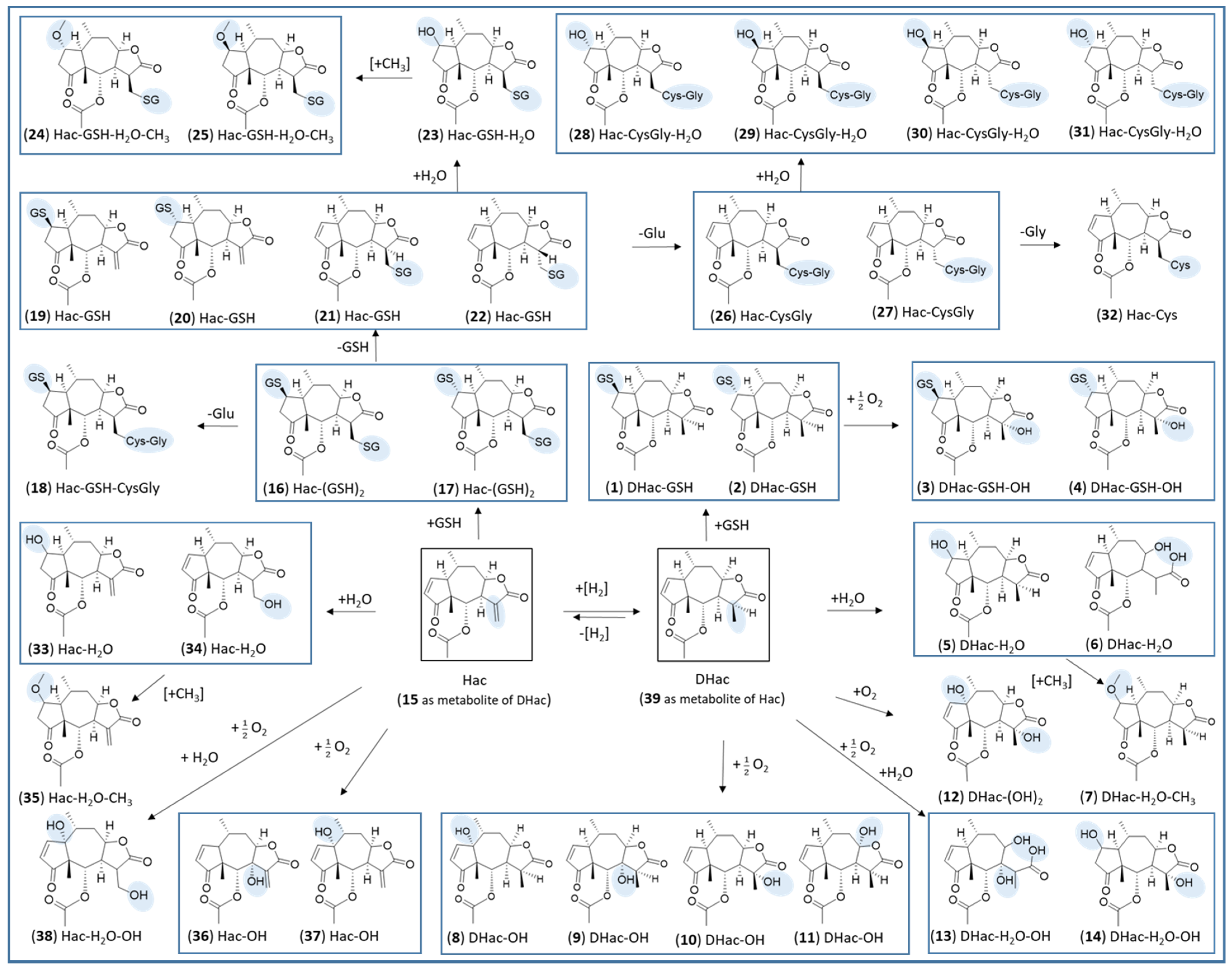 Metabolites 12 00088 g006