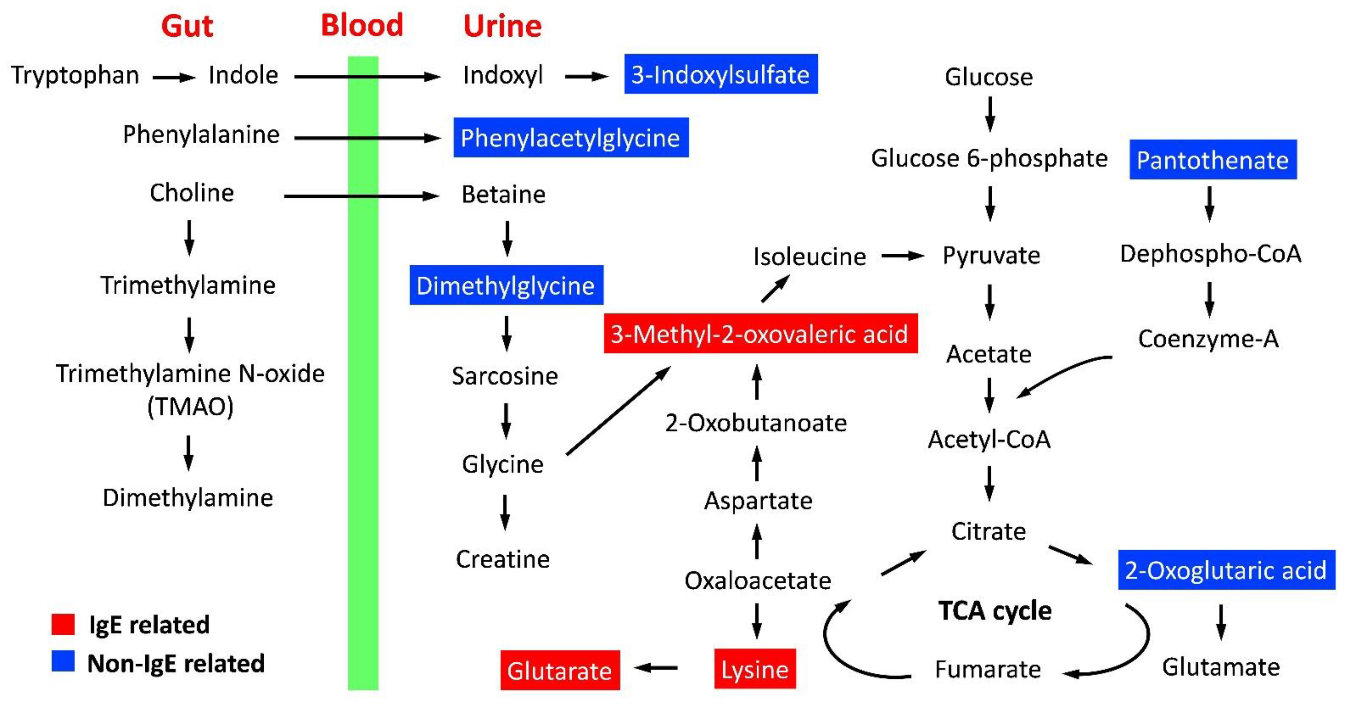 Metabolites 12 00127 g003