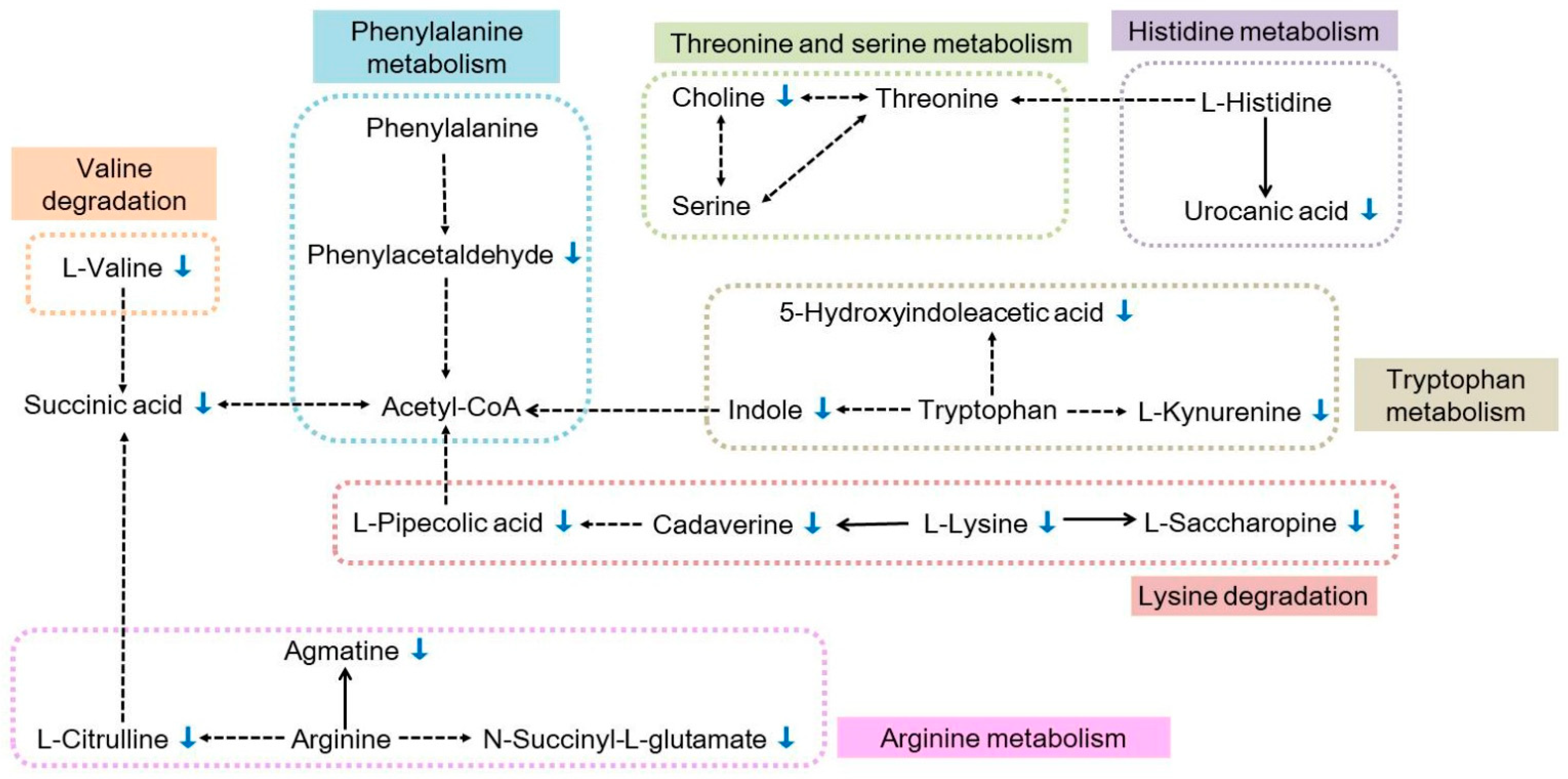Metabolites 12 00158 g007