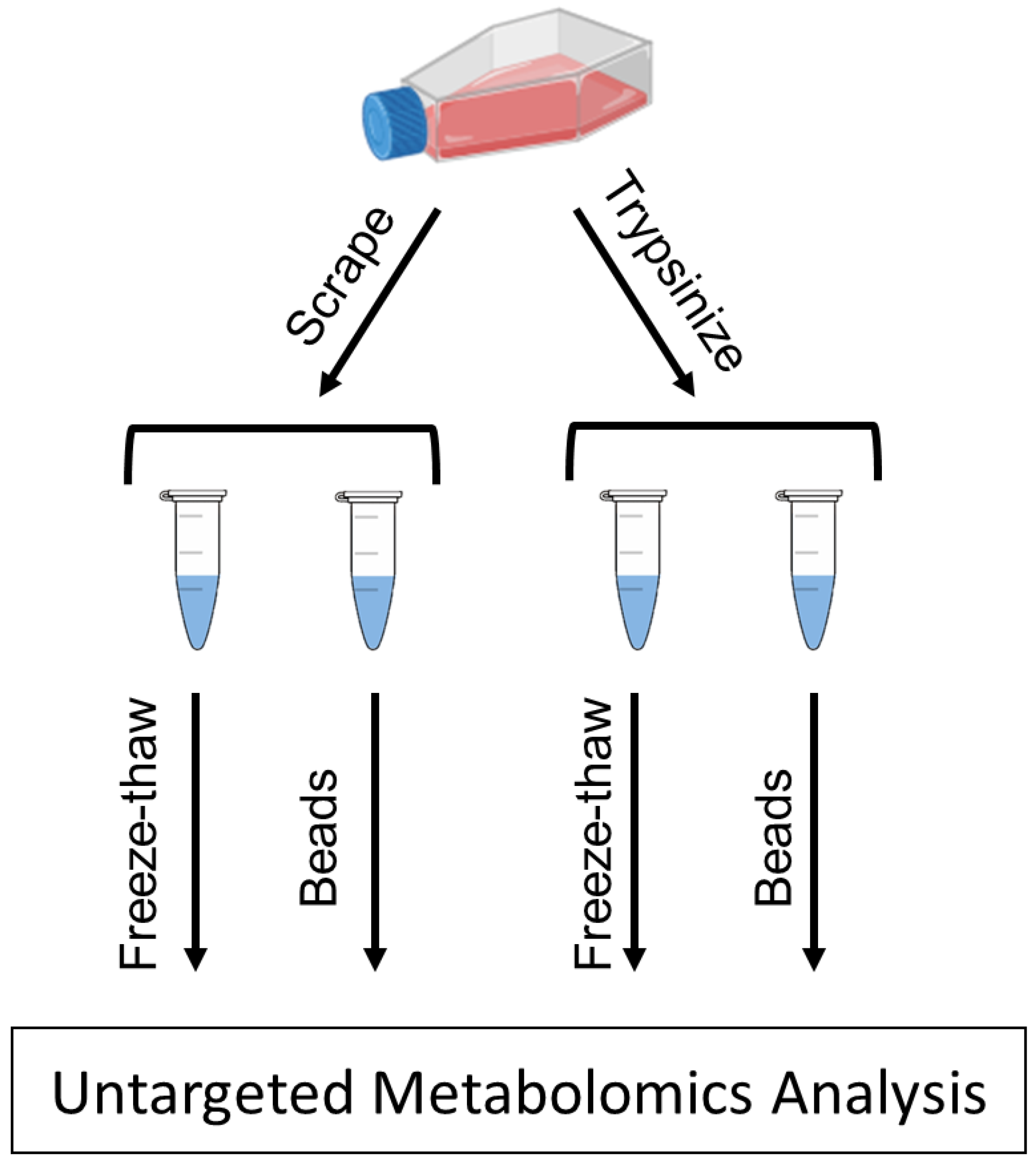 Metabolites 12 00168 g001