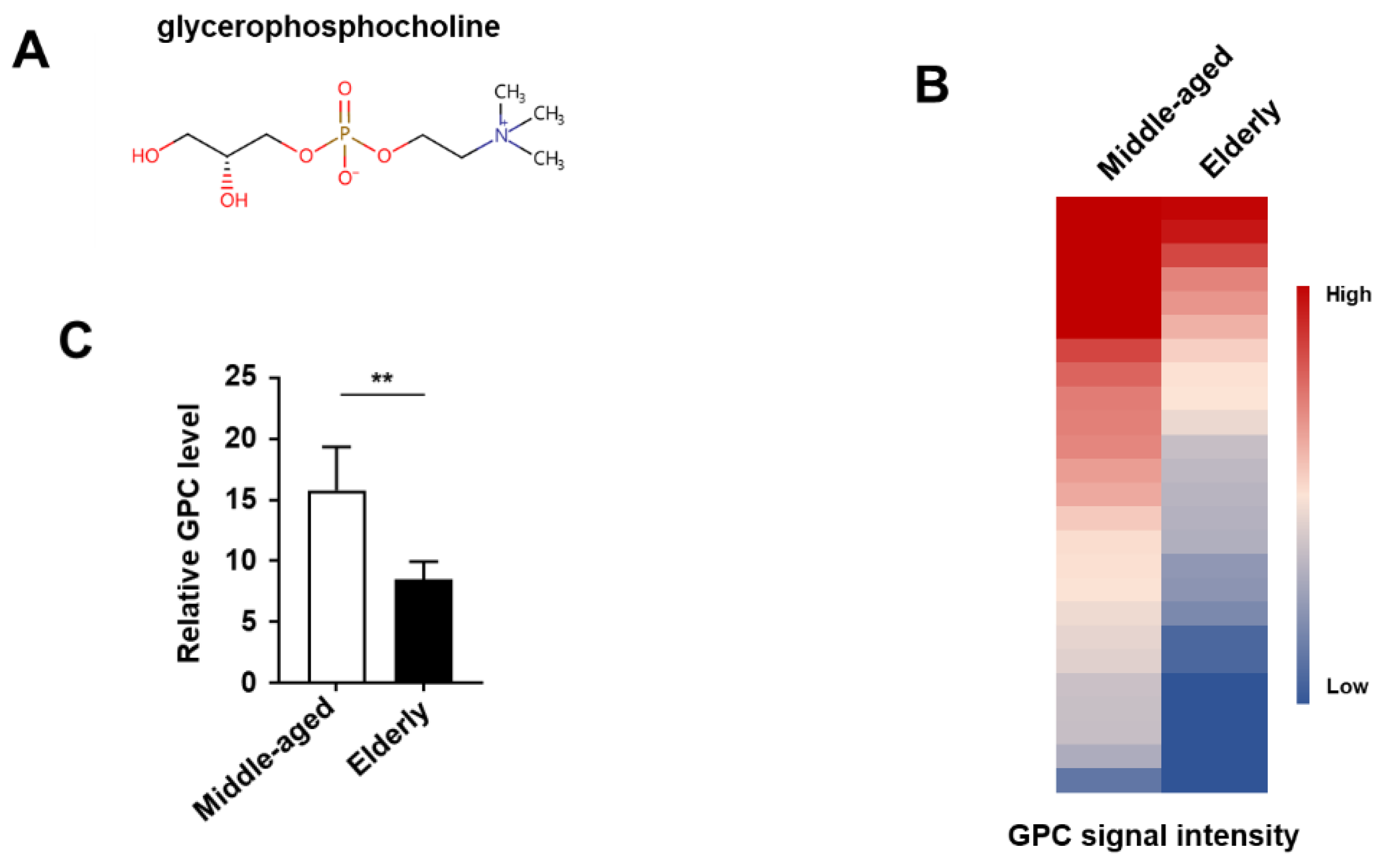 Metabolites 12 00177 g001