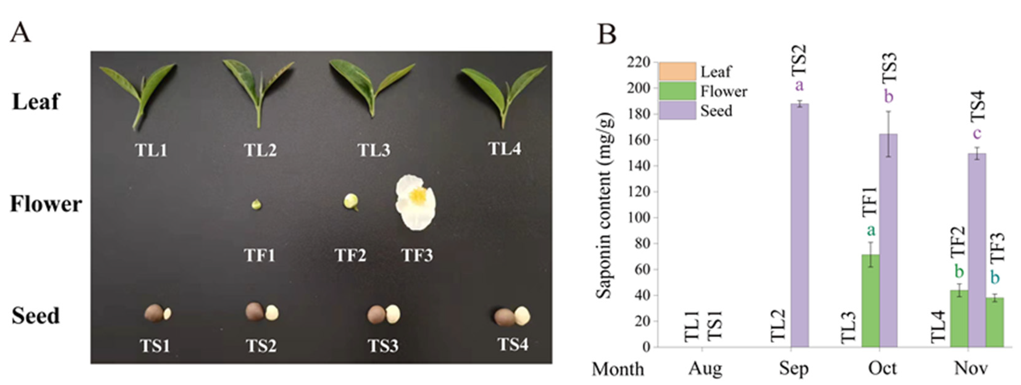 Metabolites 12 00204 g001