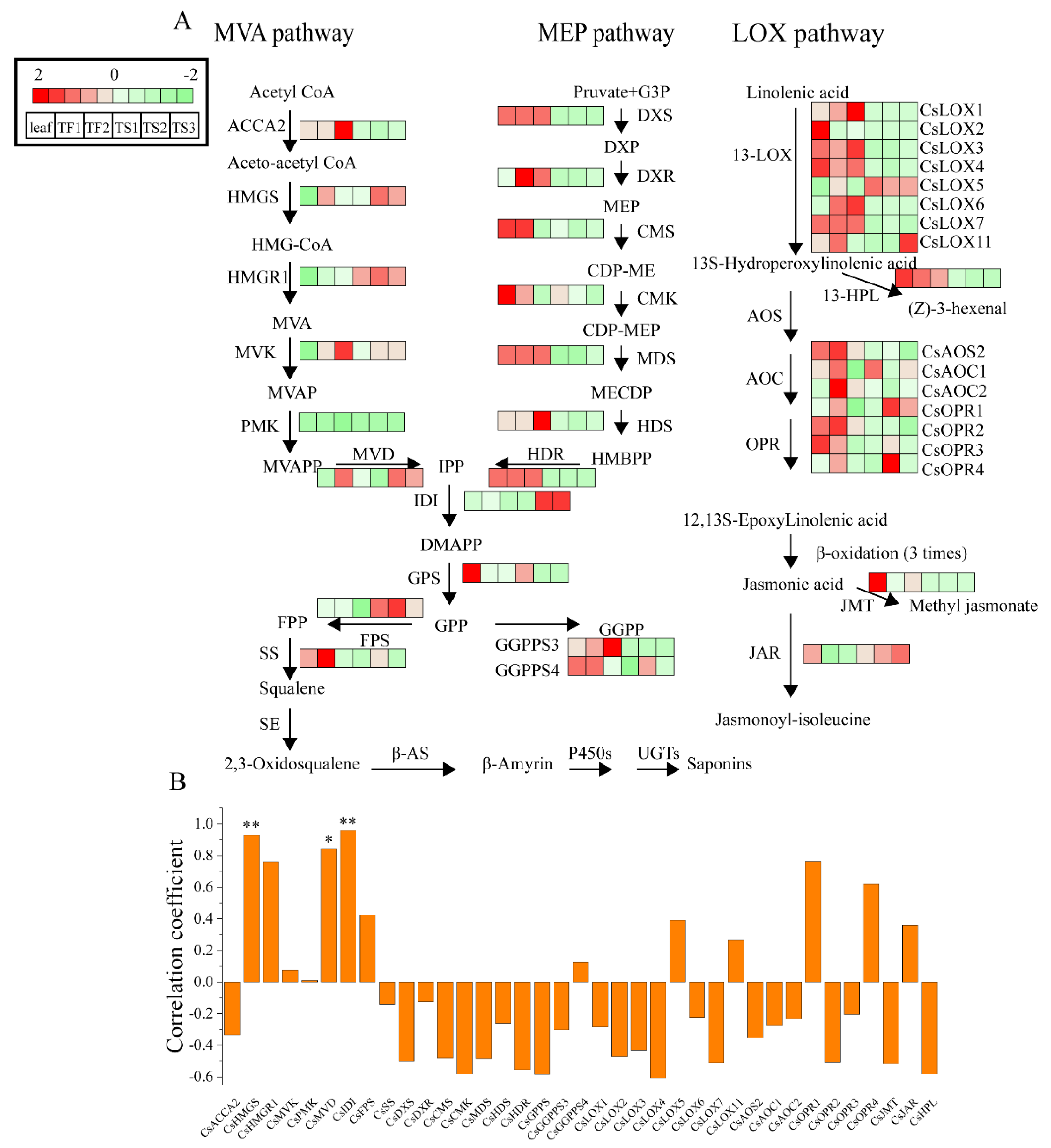 Metabolites 12 00204 g004
