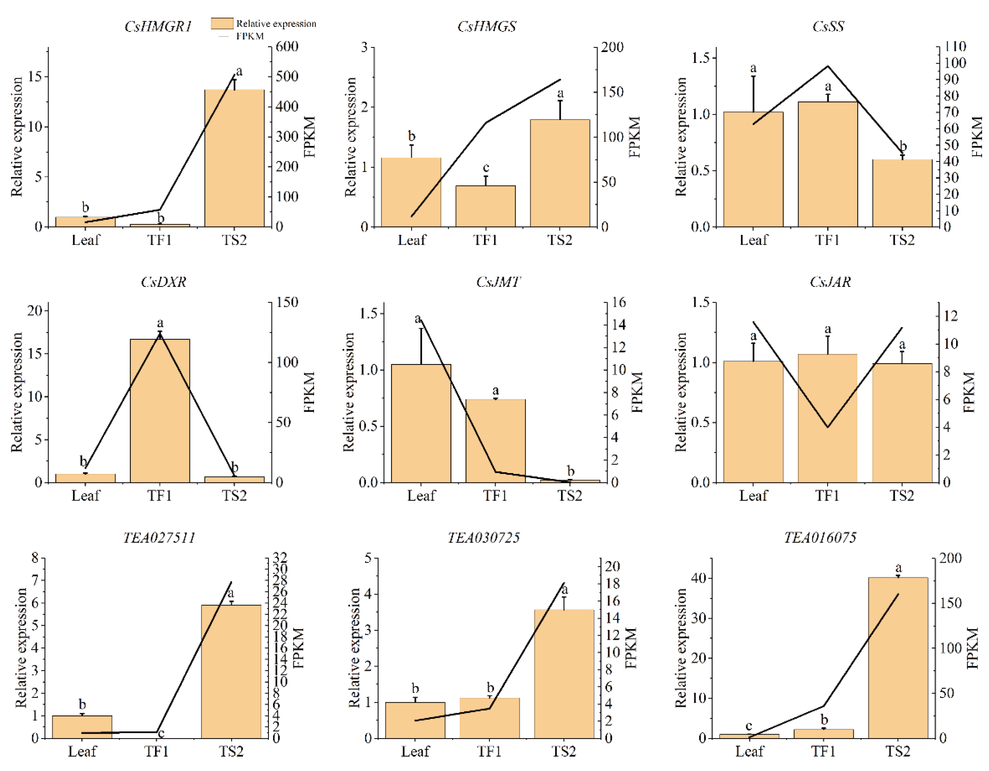 Metabolites 12 00204 g006