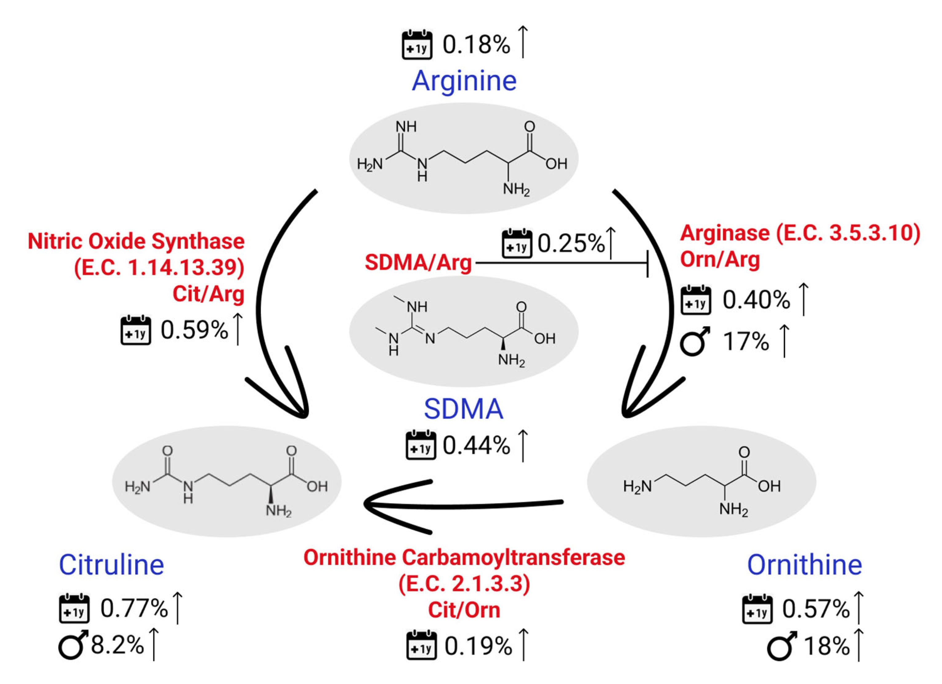Metabolites 12 00205 g005