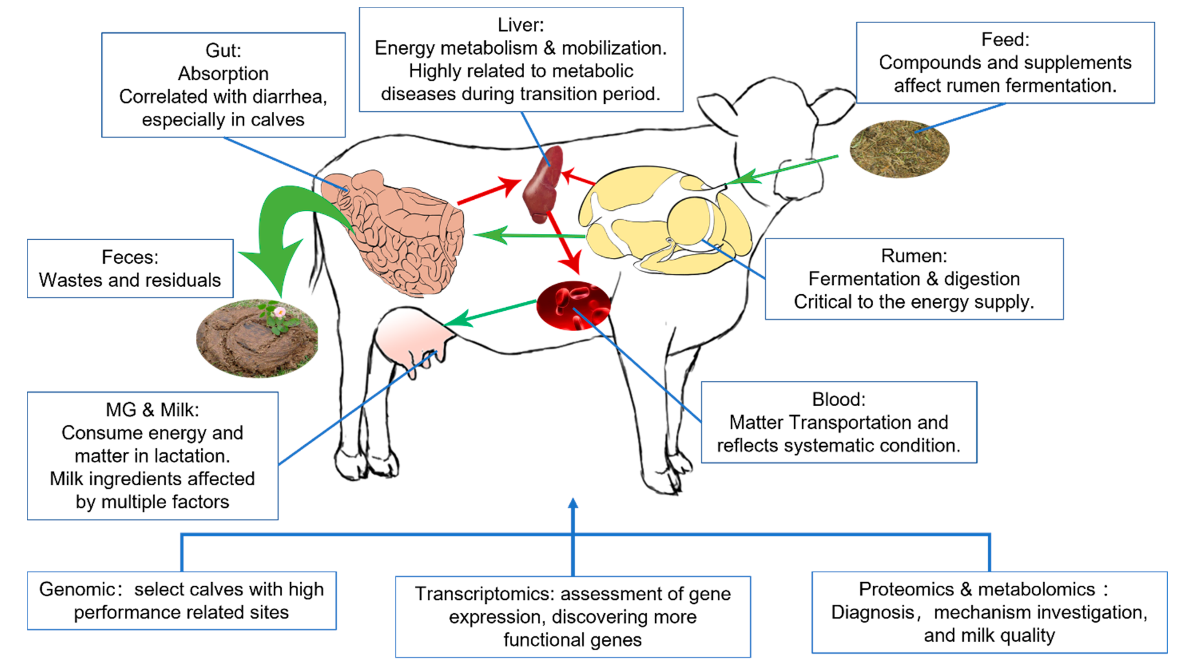Metabolites 12 00225 g001 Metabolites 12 00225 g001