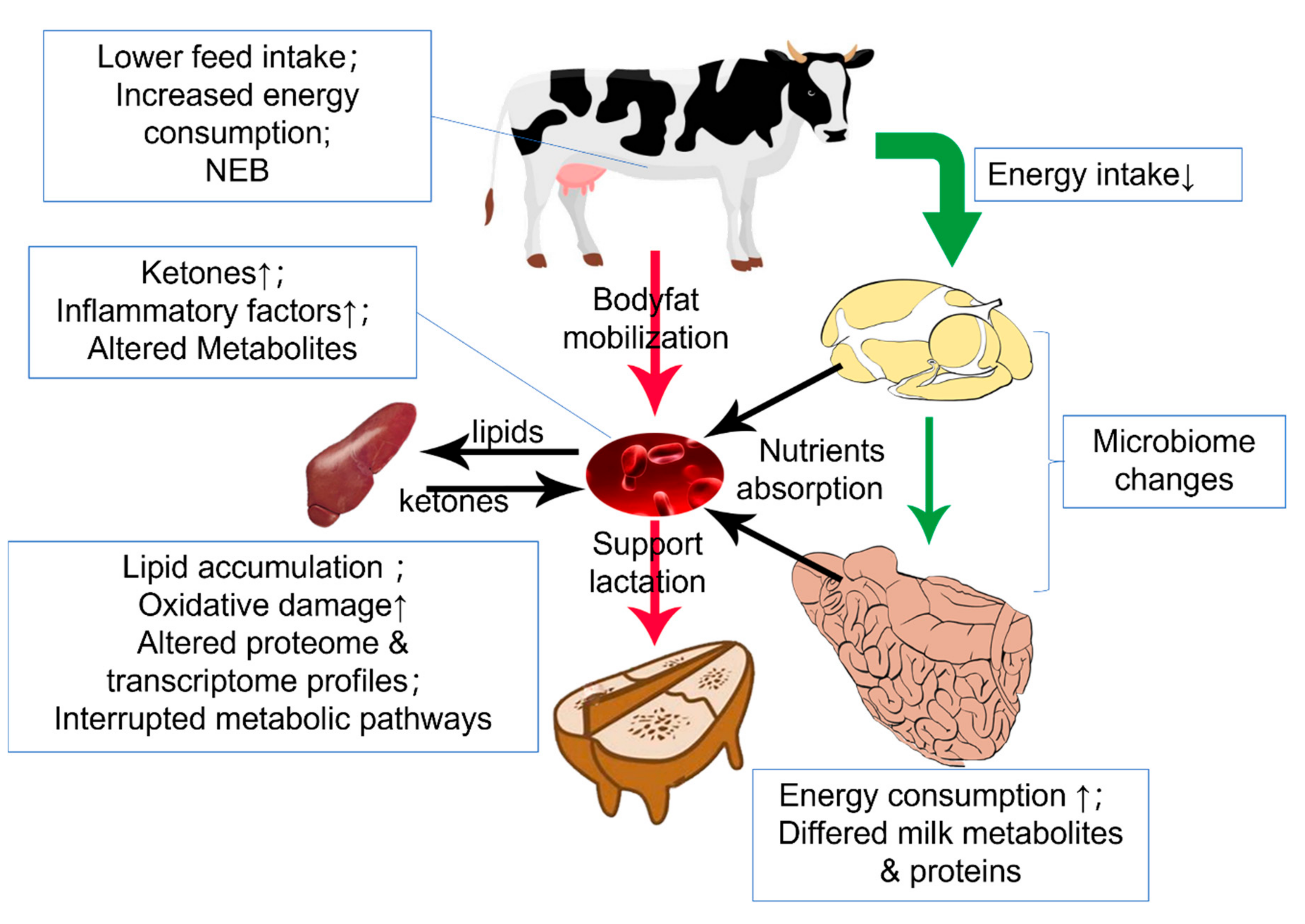 Metabolites 12 00225 g002 Metabolites 12 00225 g002