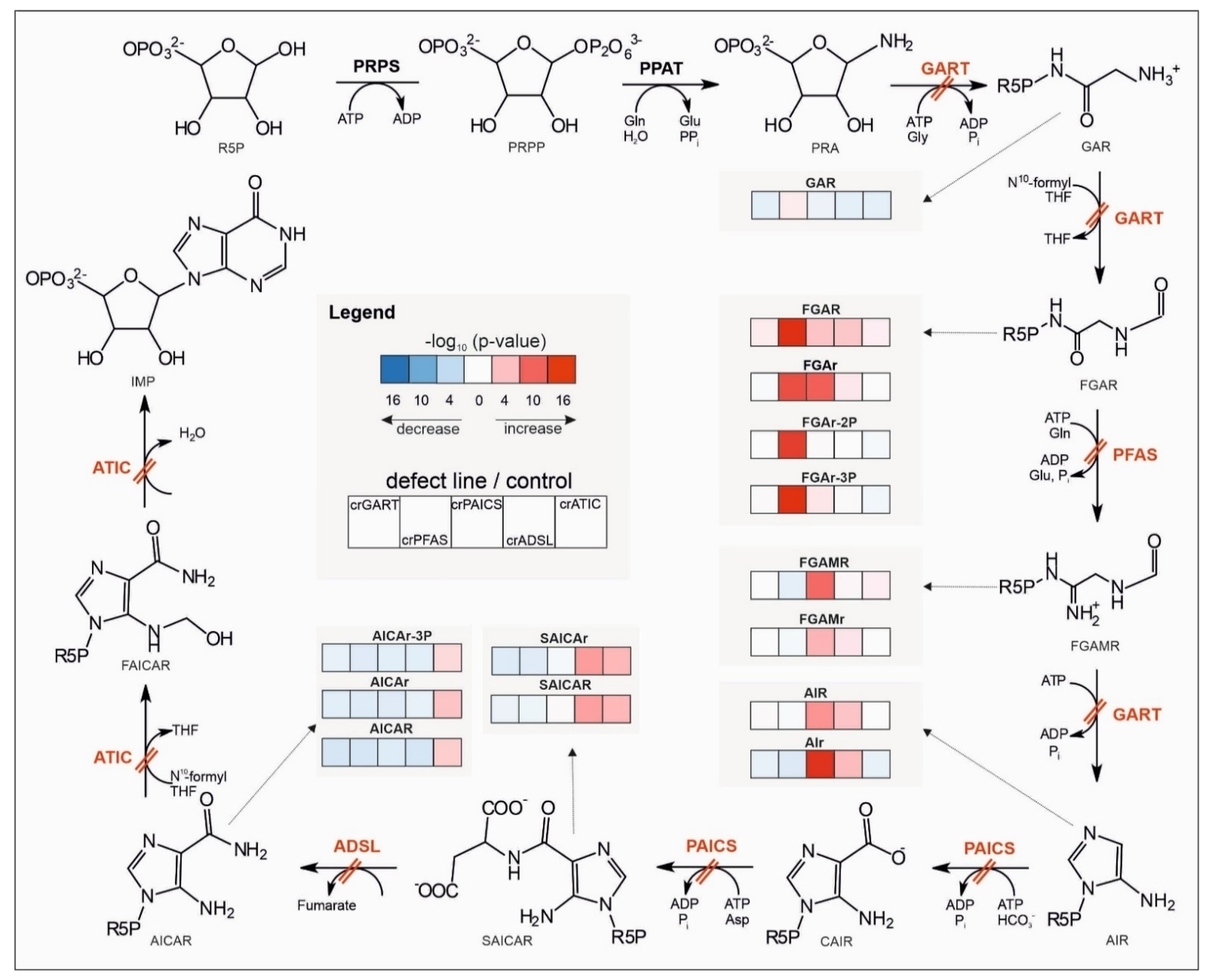 Metabolites 12 00241 g002