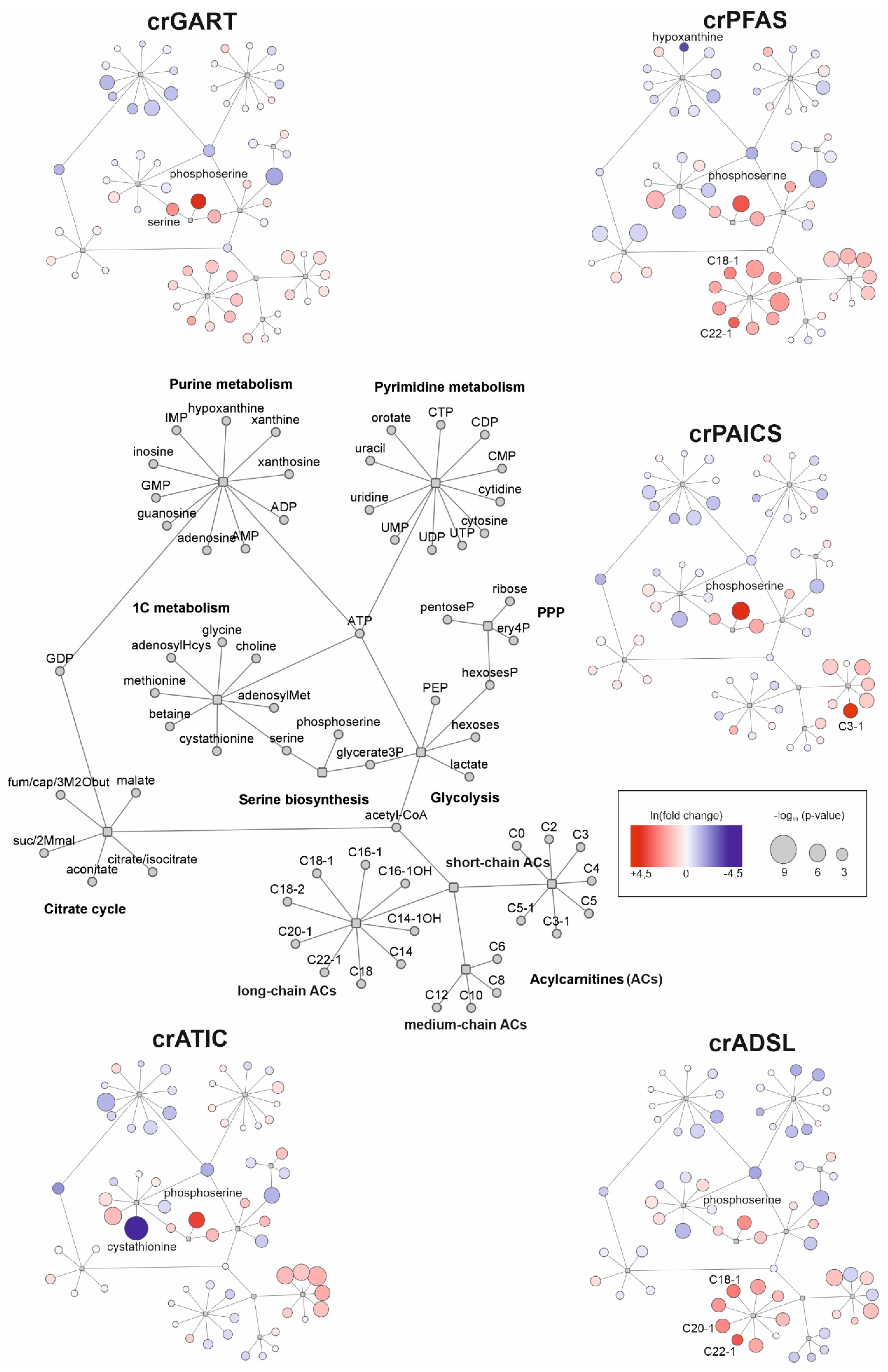 Metabolites 12 00241 g004