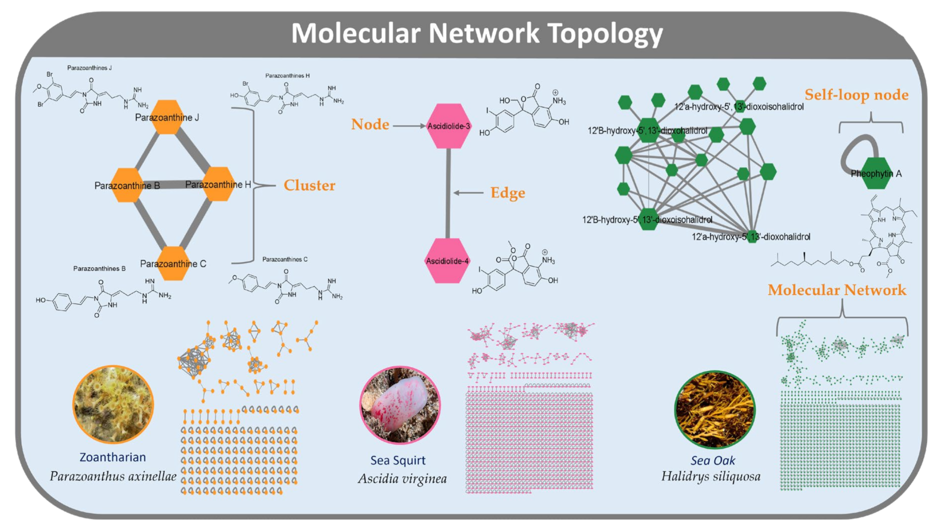 Metabolites 12 00245 g001