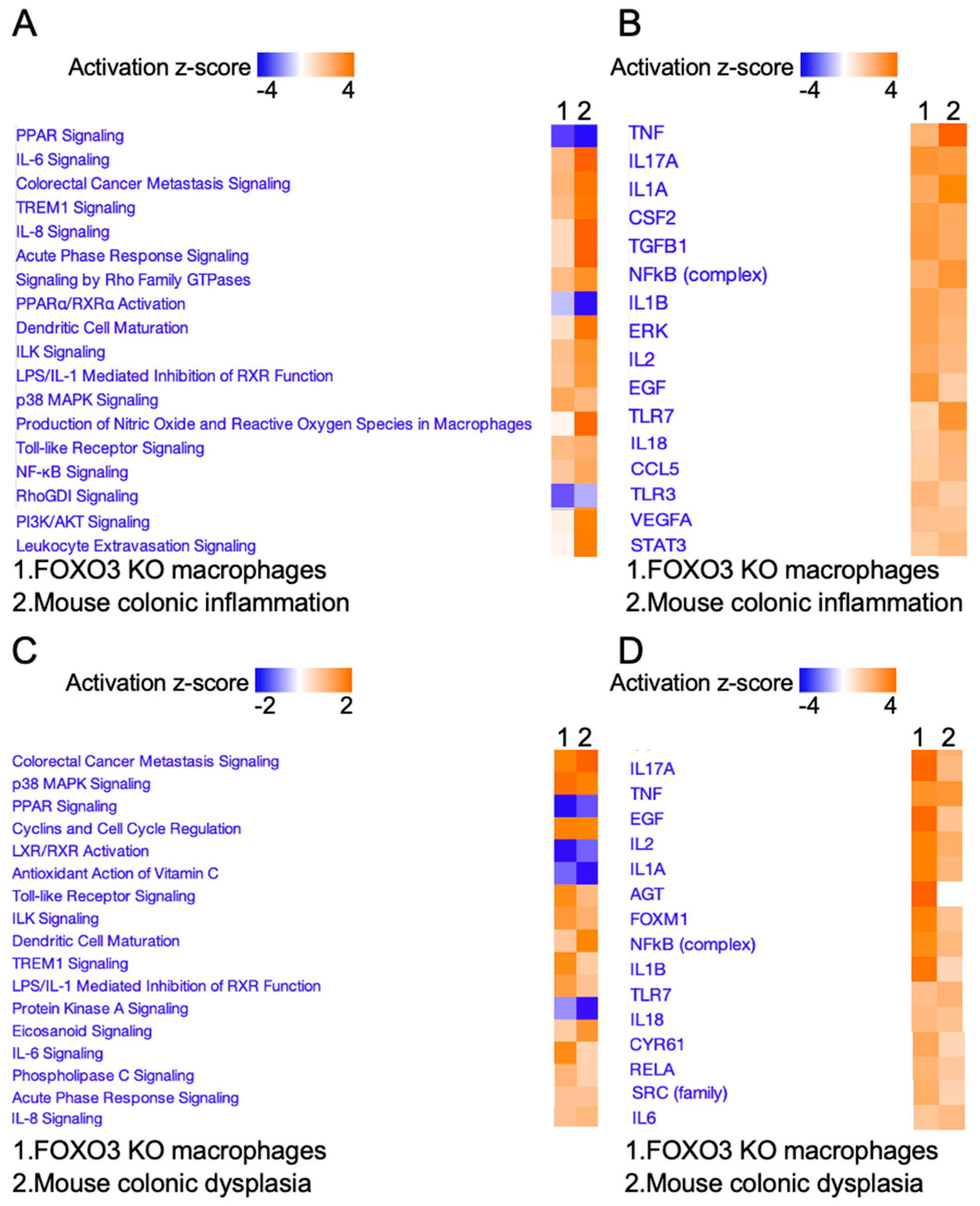 Metabolites 12 00250 g002