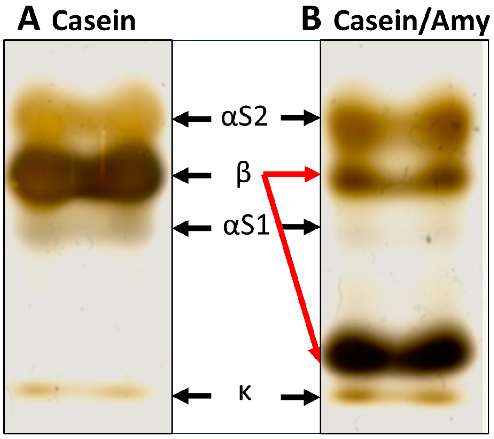 Metabolites 12 00254 g002