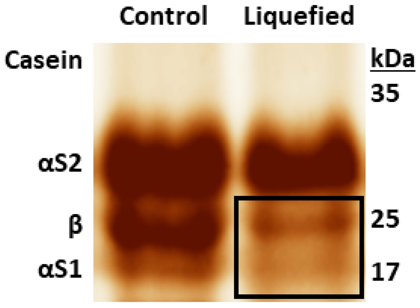 Metabolites 12 00254 g006