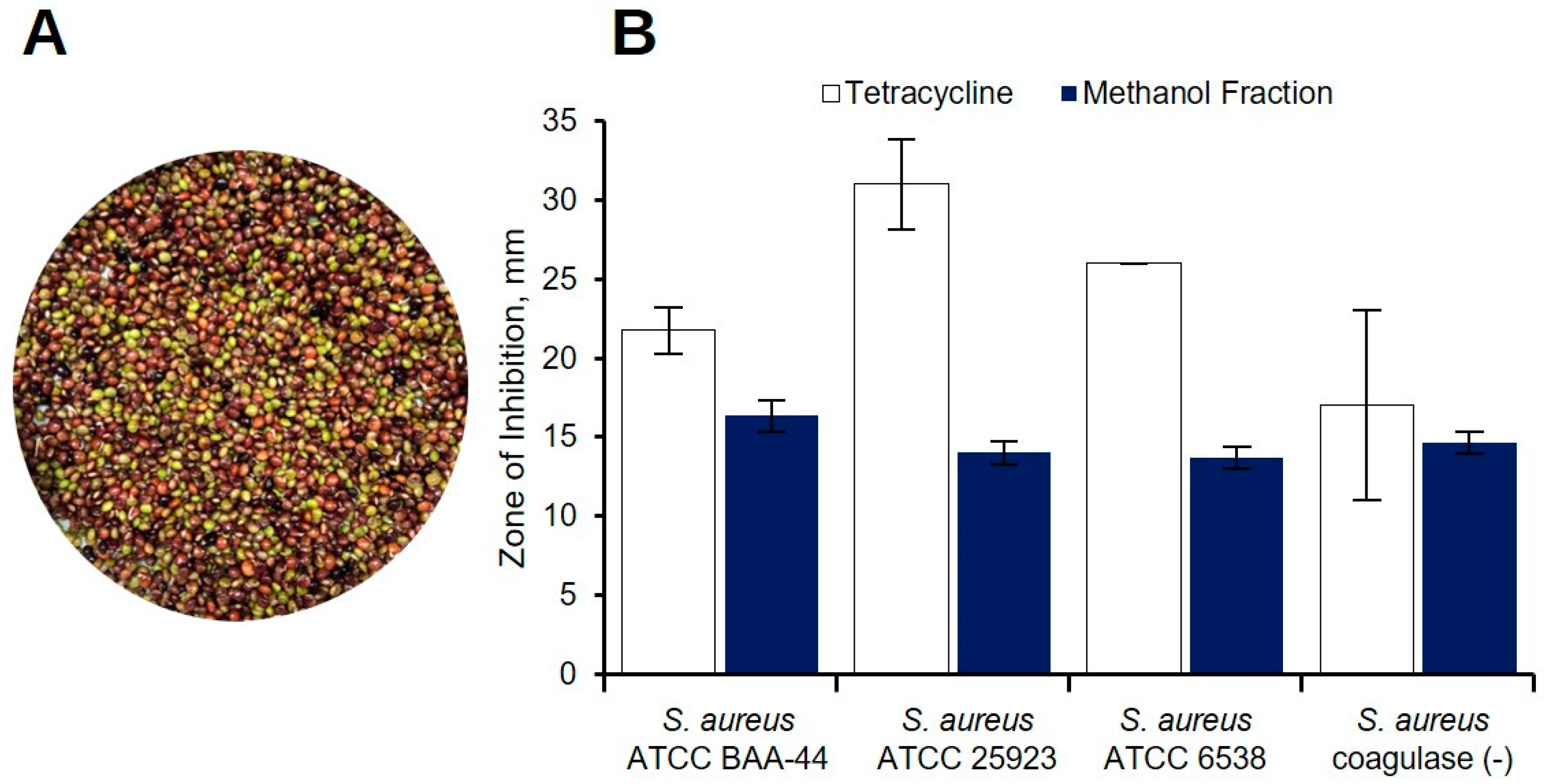 Metabolites 12 00279 g001