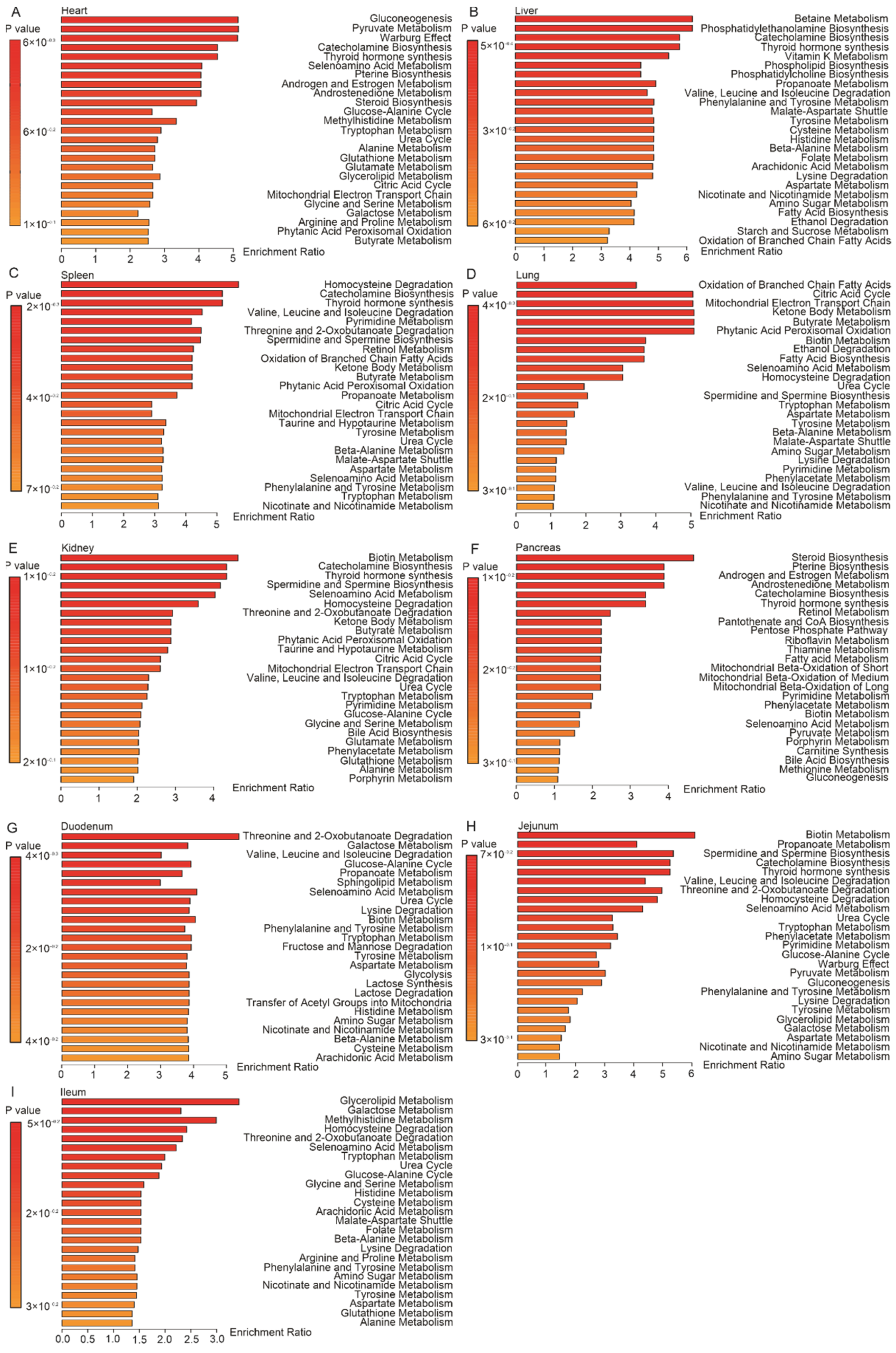 Metabolites 12 00287 g003 Metabolites 12 00287 g003