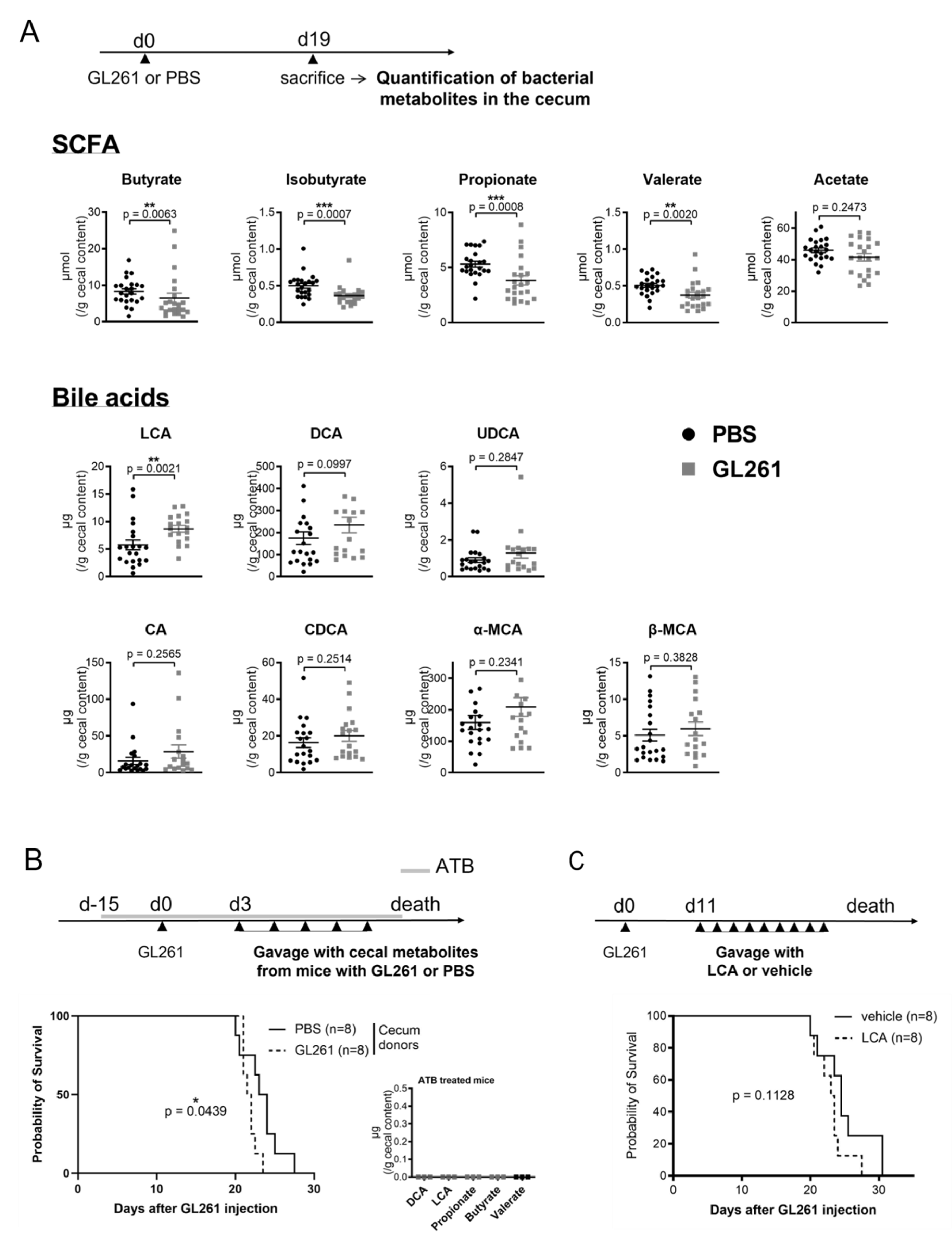 Metabolites 12 00290 g002 Metabolites 12 00290 g002