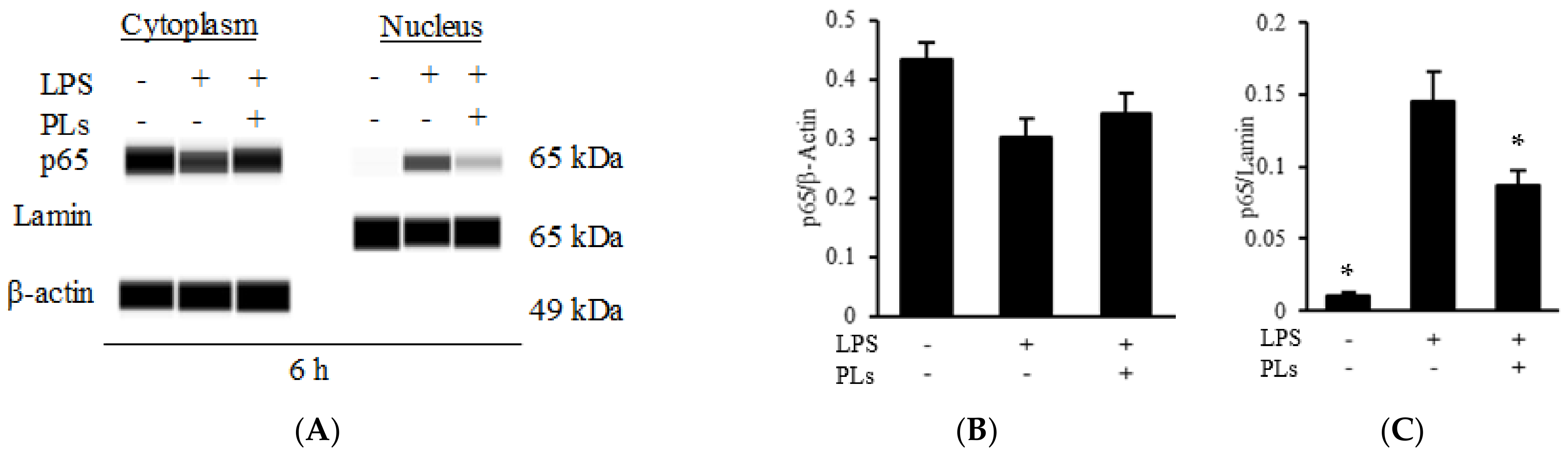 Metabolites 12 00330 g005a