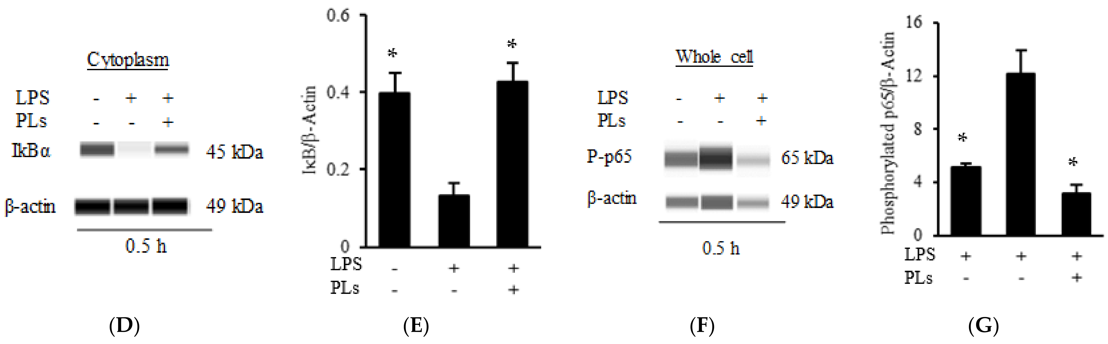 Metabolites 12 00330 g005b