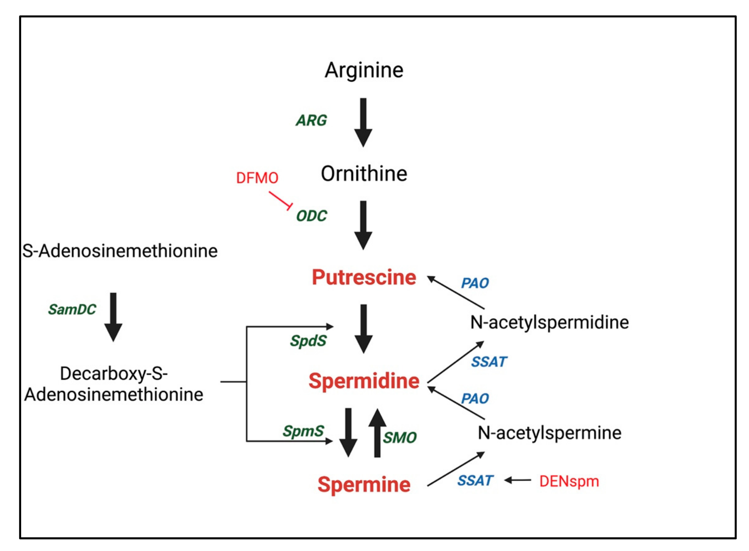 Metabolites 12 00344 g001