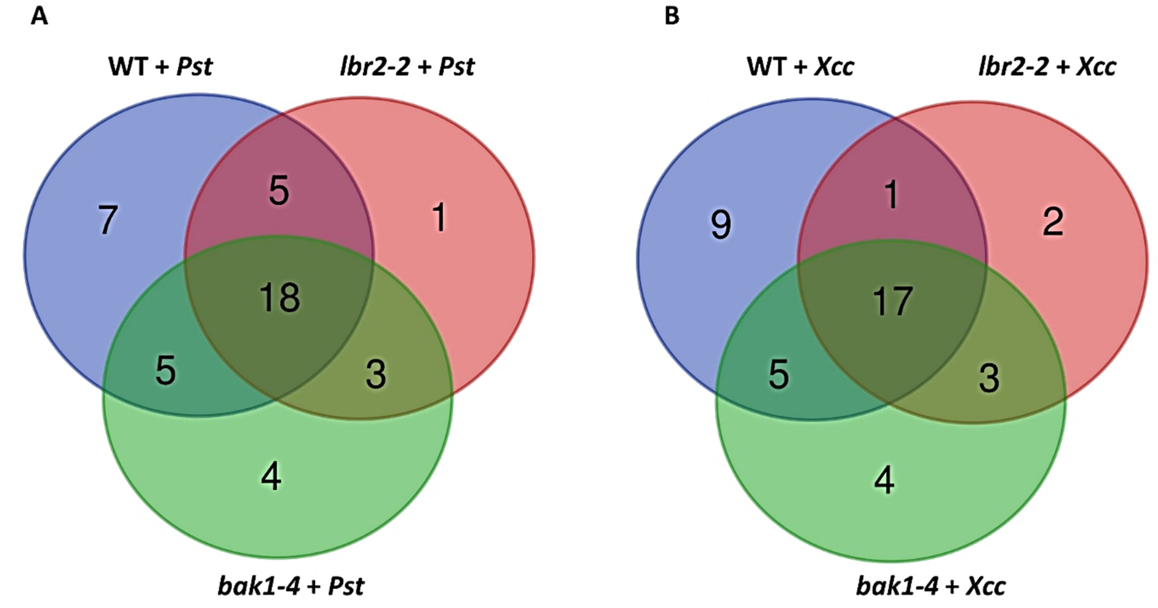Metabolites 12 00379 g004