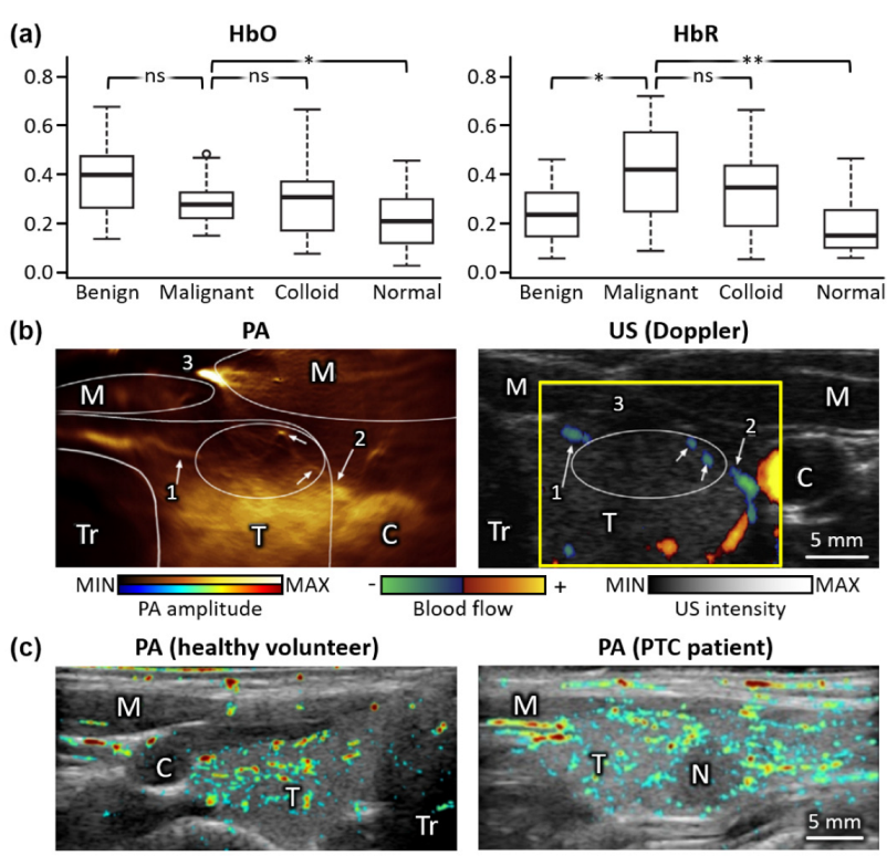 Metabolites 12 00382 g001