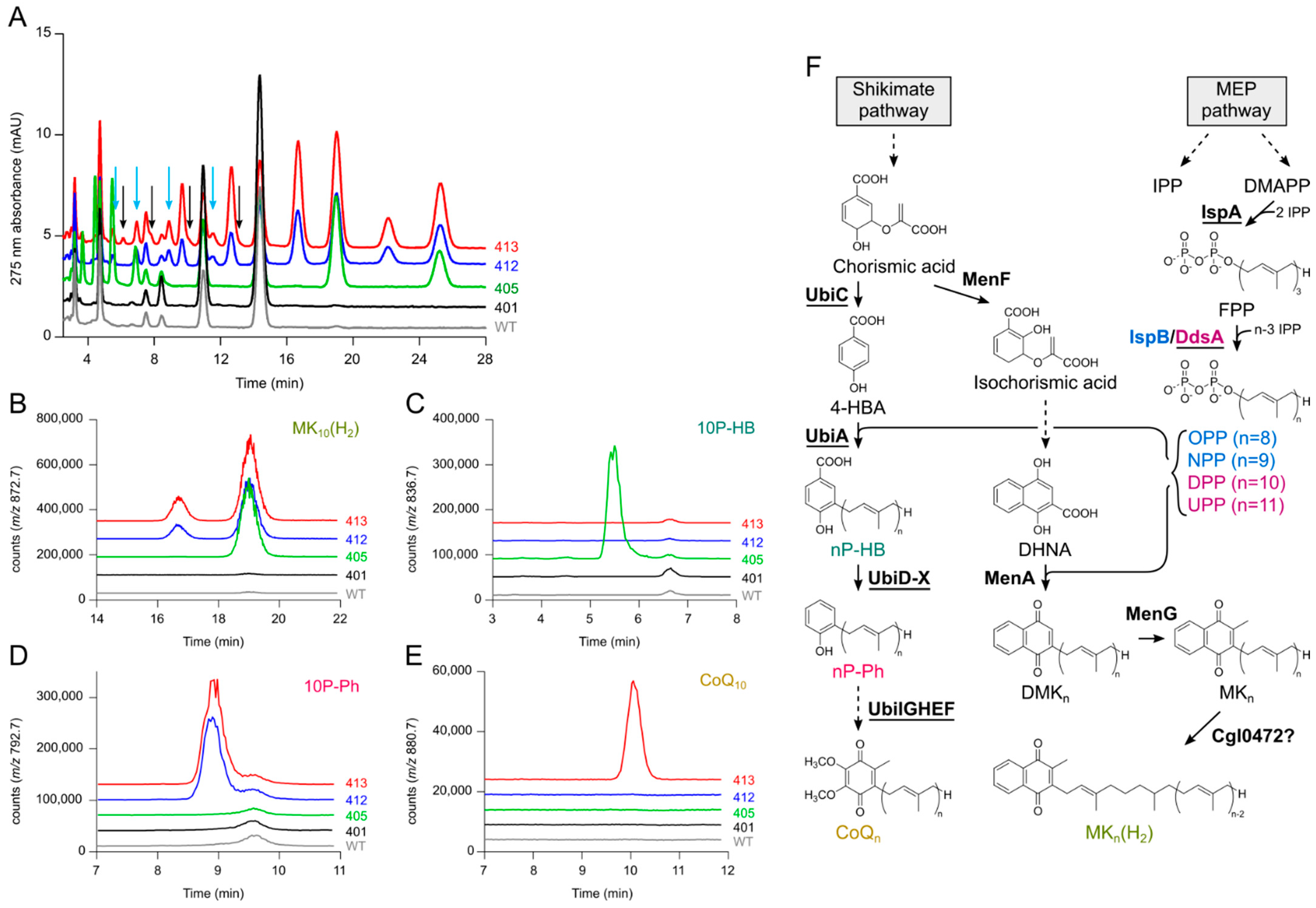 Metabolites 12 00428 g001