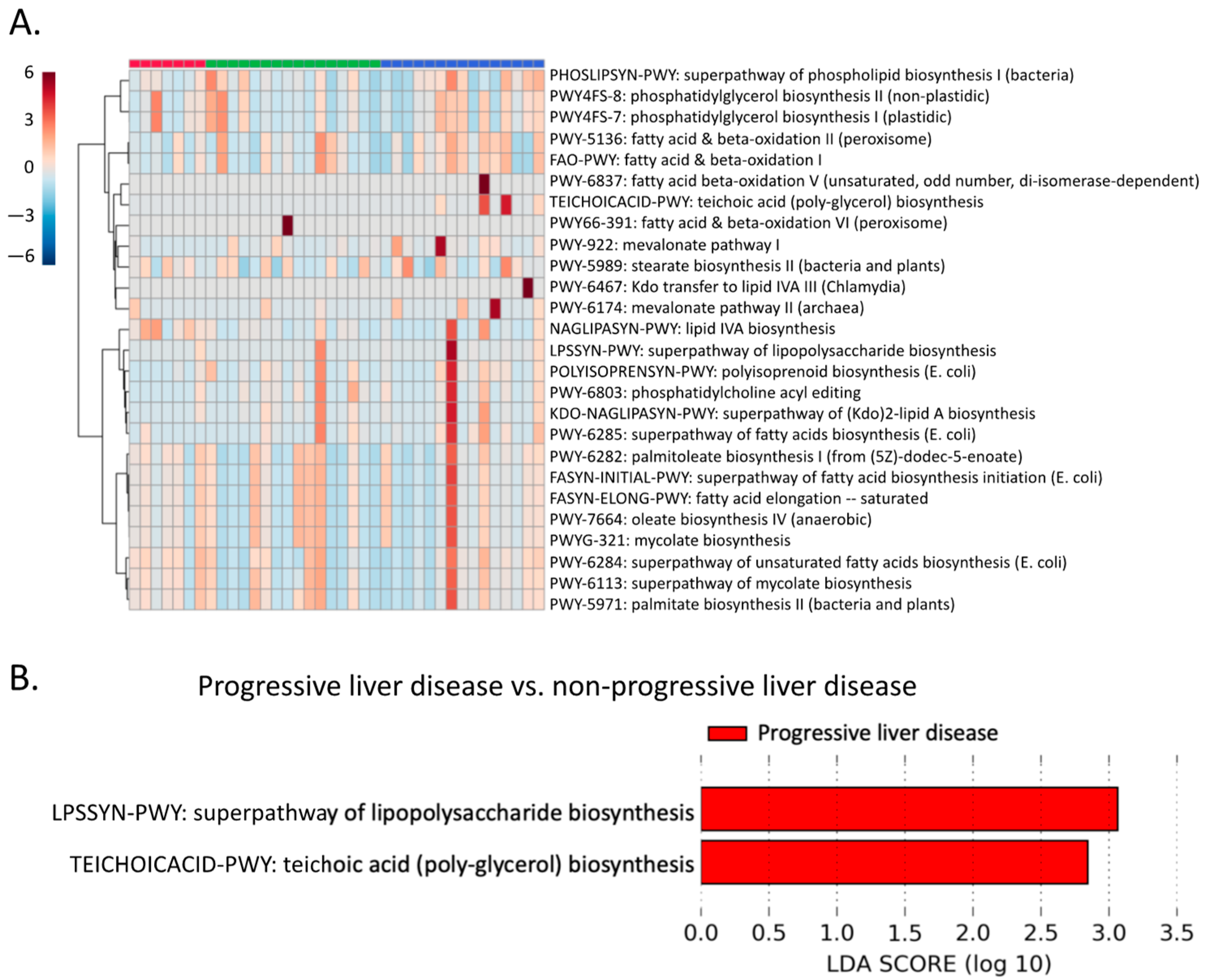 Metabolites 12 00433 g006