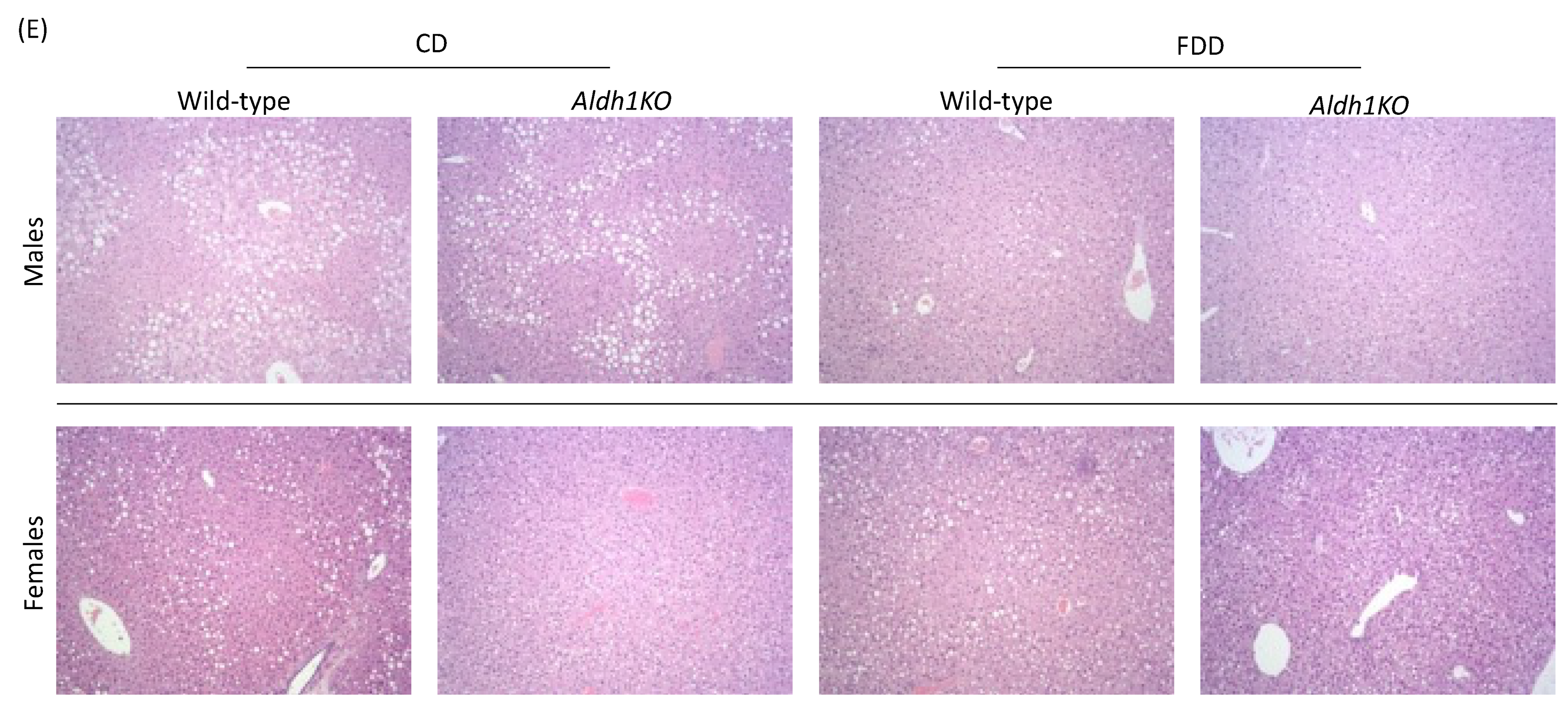 Metabolites 12 00454 g002b