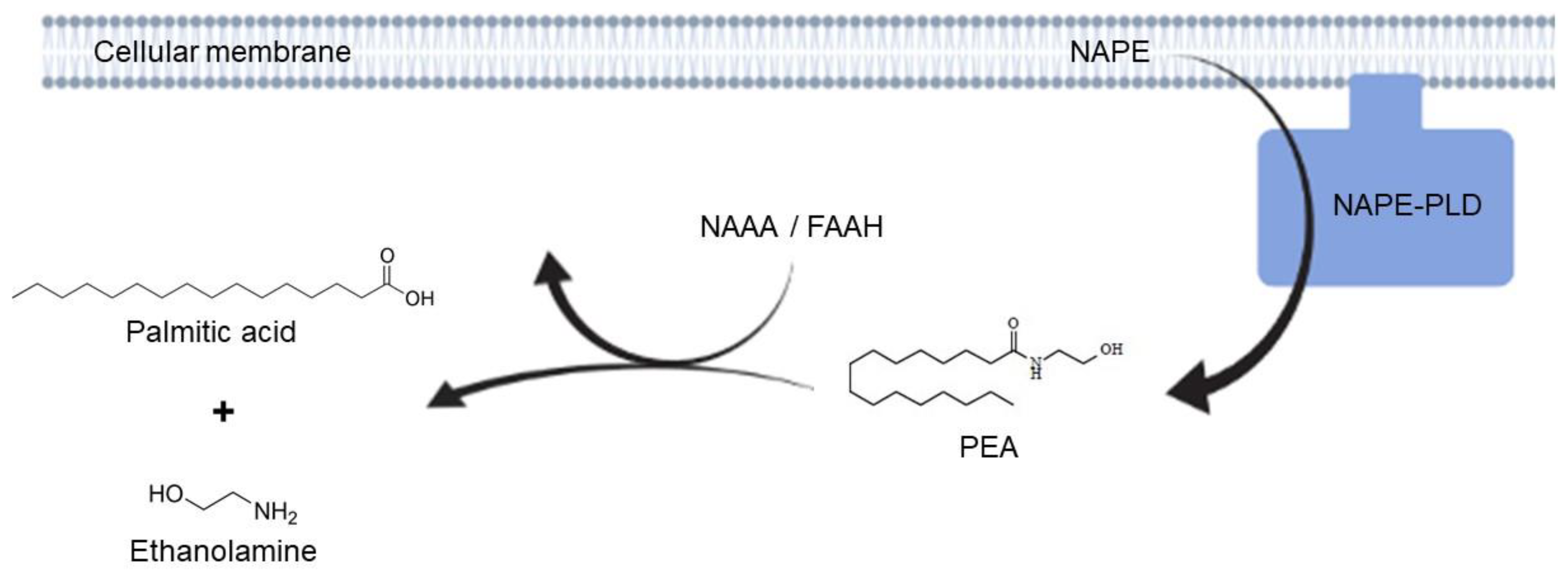 Metabolites 12 00457 g001