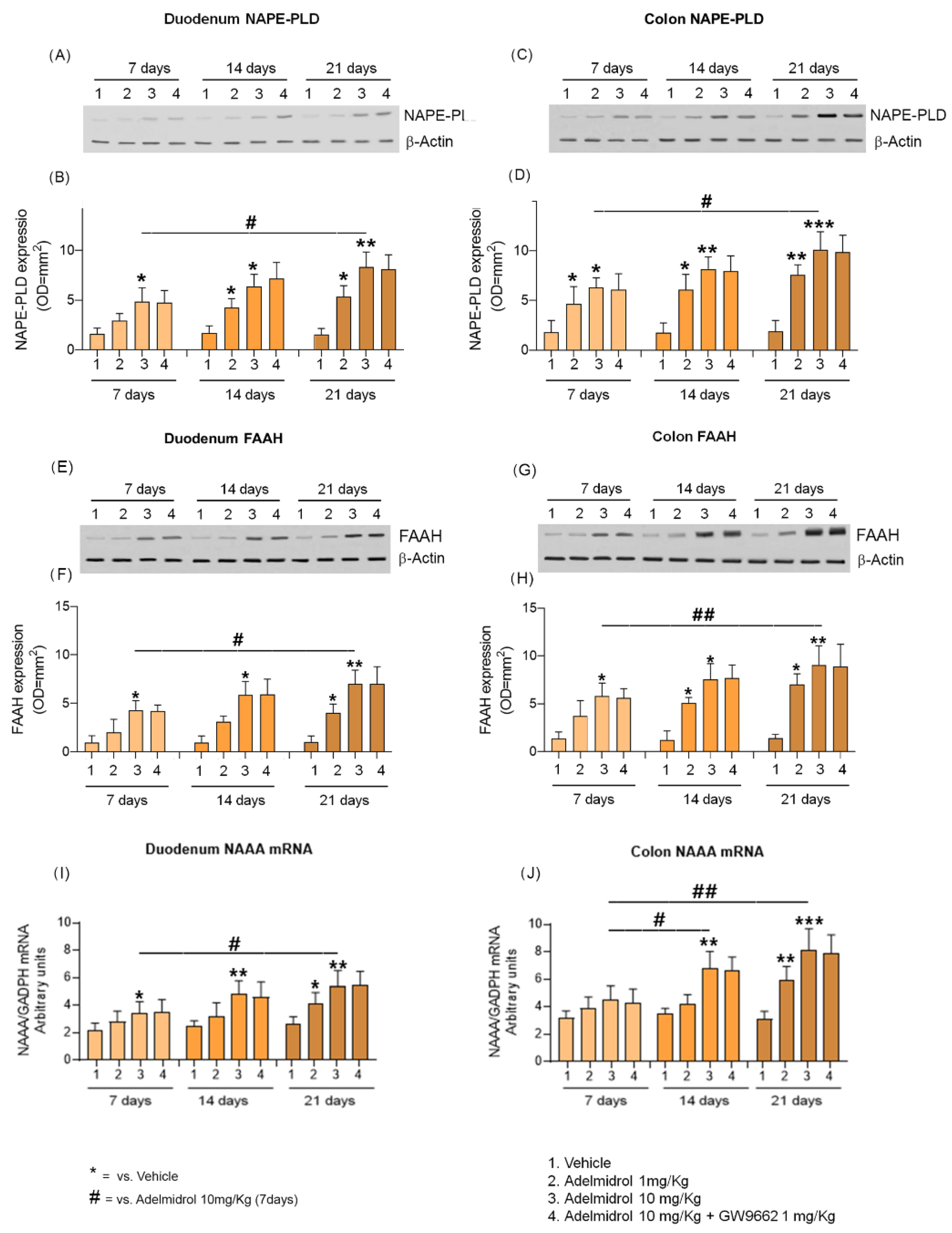 Metabolites 12 00457 g003