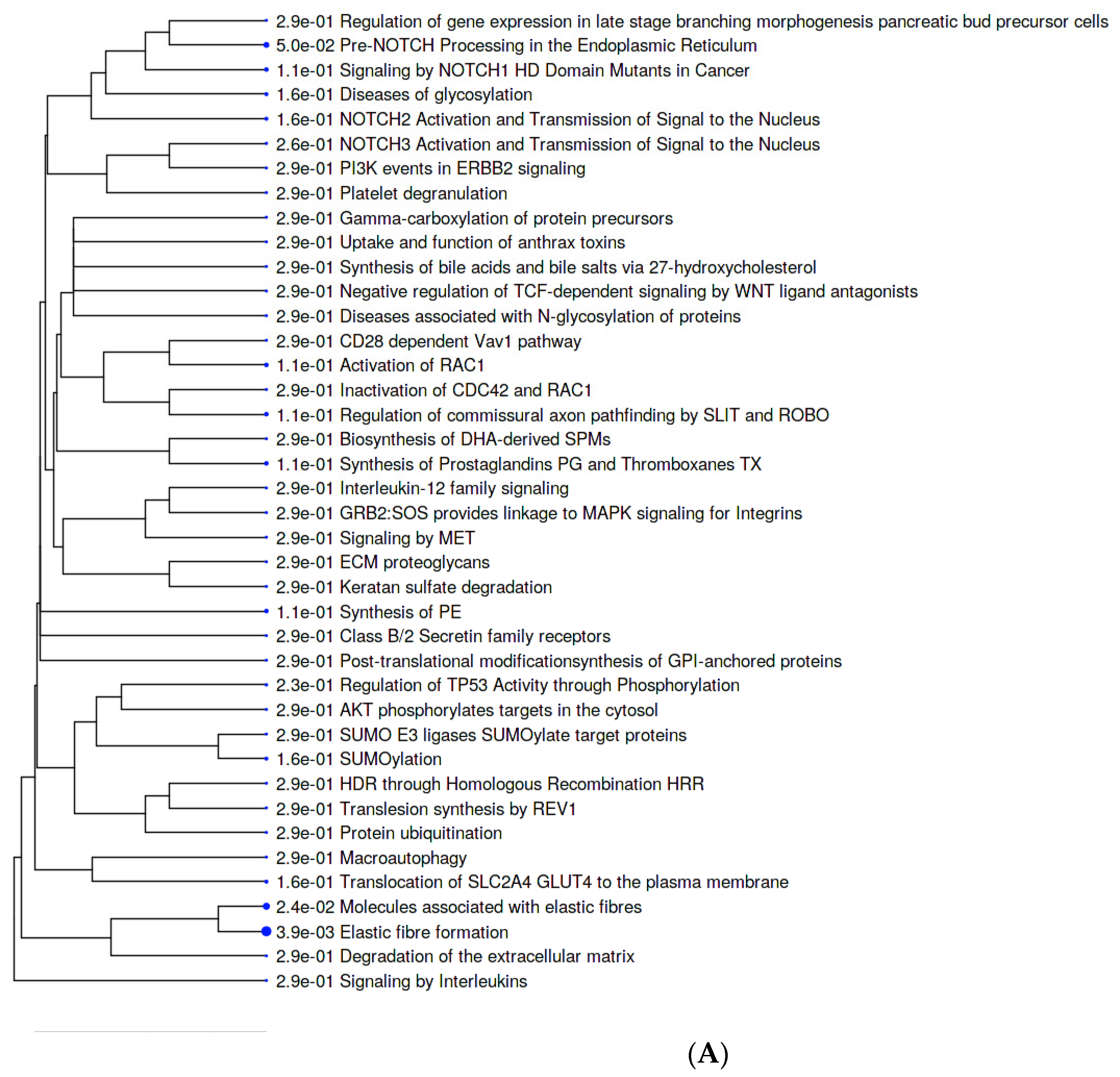 Metabolites 12 00464 g004a Metabolites 12 00464 g004a